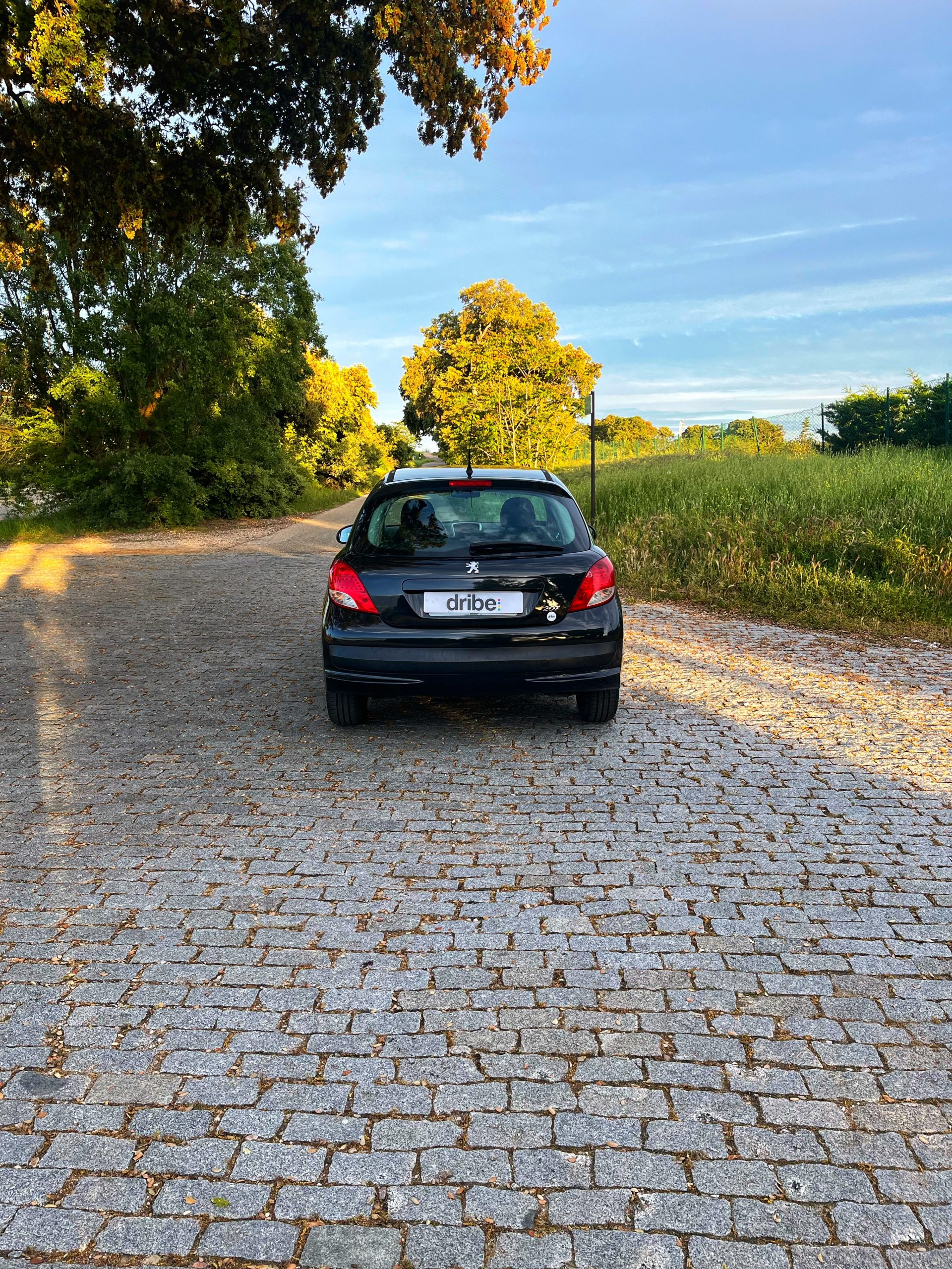Vendido: Peugeot 207 Active 1.4 HDI 70cv