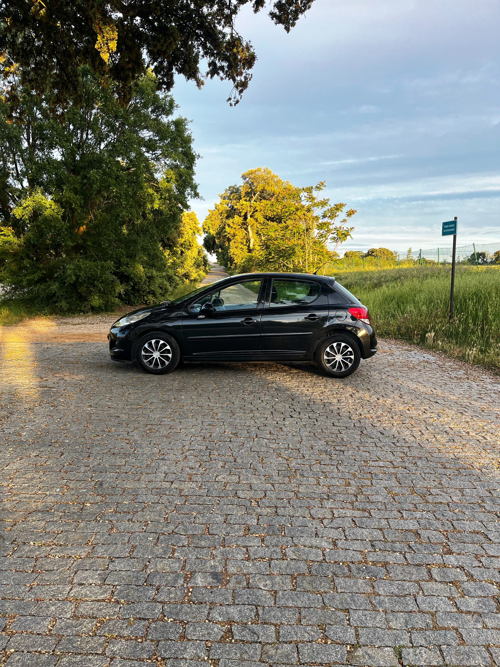 Vendido: Peugeot 207 Active 1.4 HDI 70cv