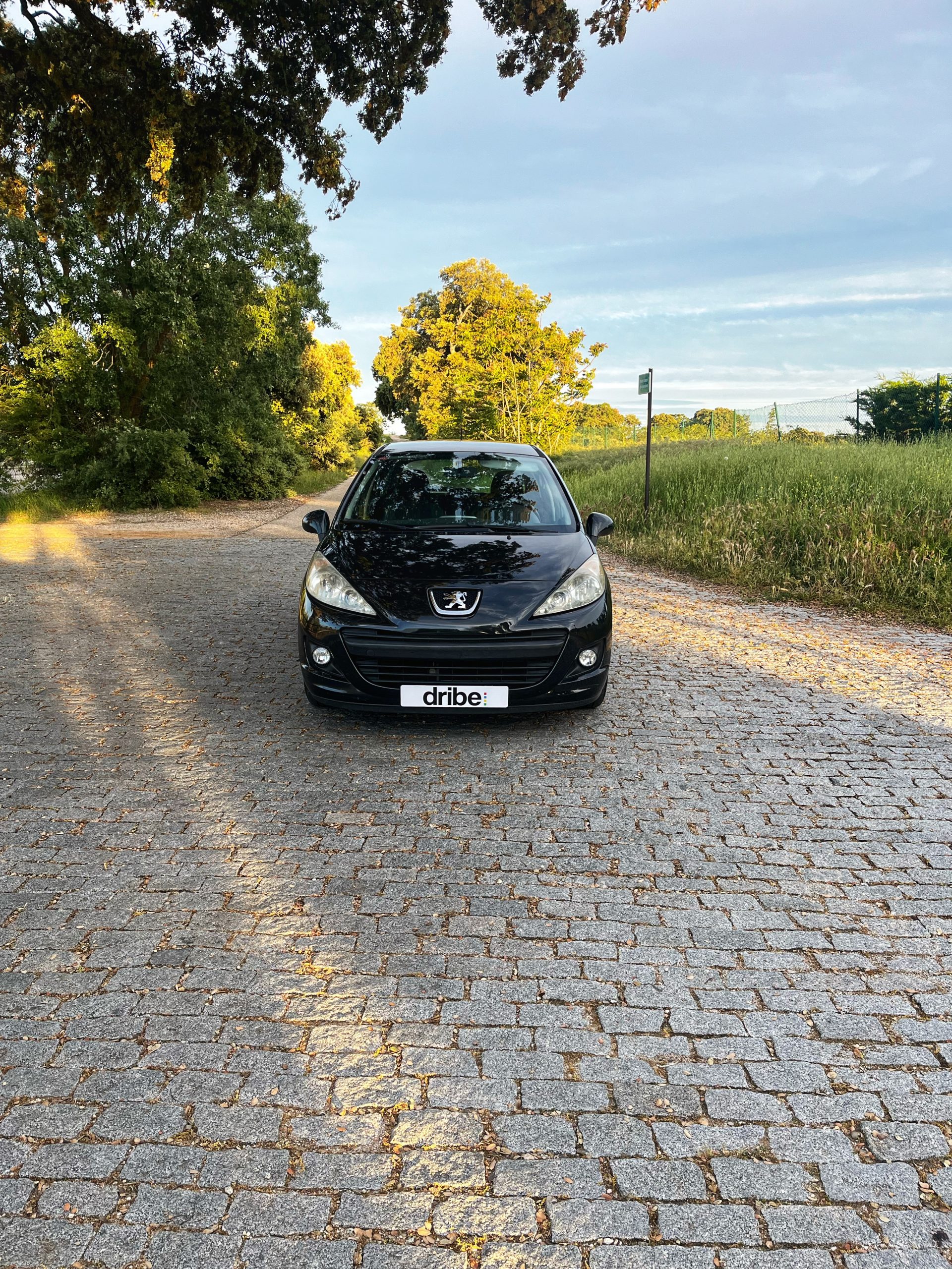 Vendido: Peugeot 207 Active 1.4 HDI 70cv