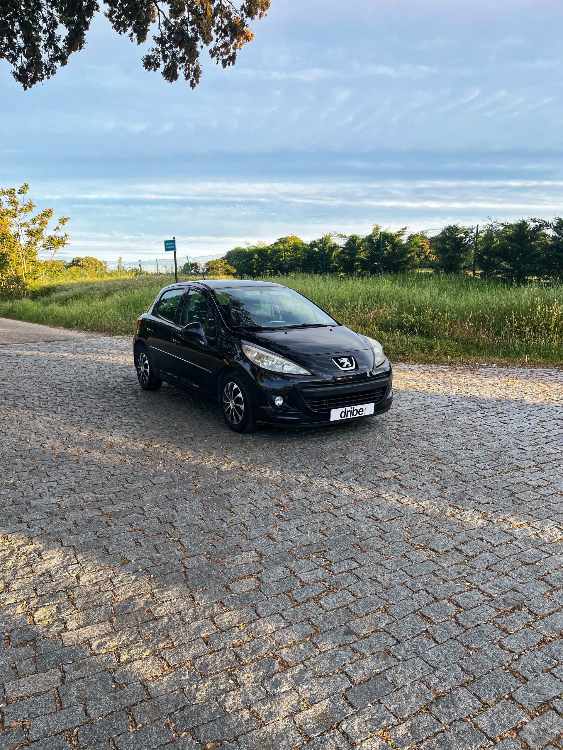Vendido: Peugeot 207 Active 1.4 HDI 70cv