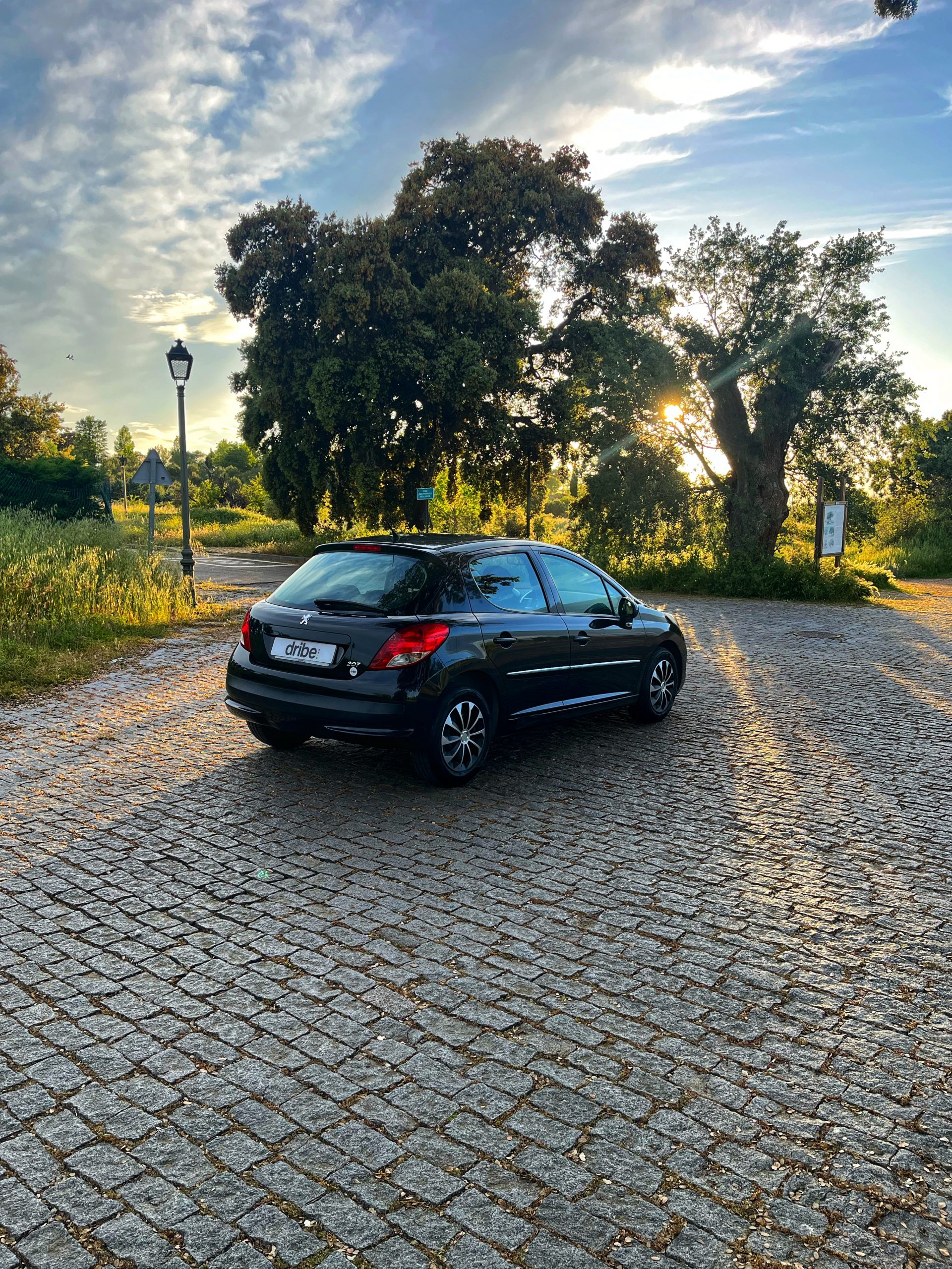Vendido: Peugeot 207 Active 1.4 HDI 70cv