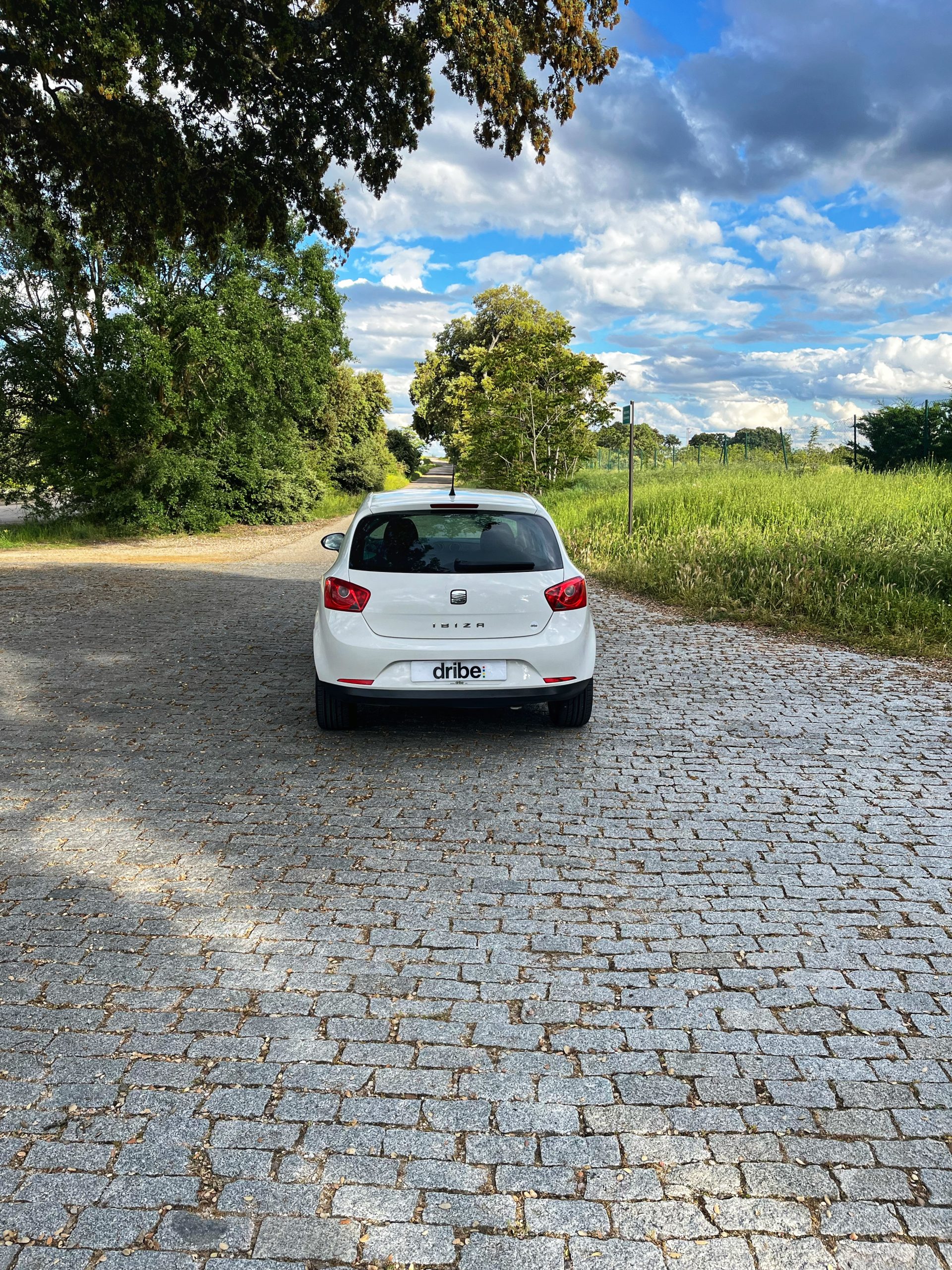VENDIDO: Seat Ibiza Sport 1.6 TDI 105cv