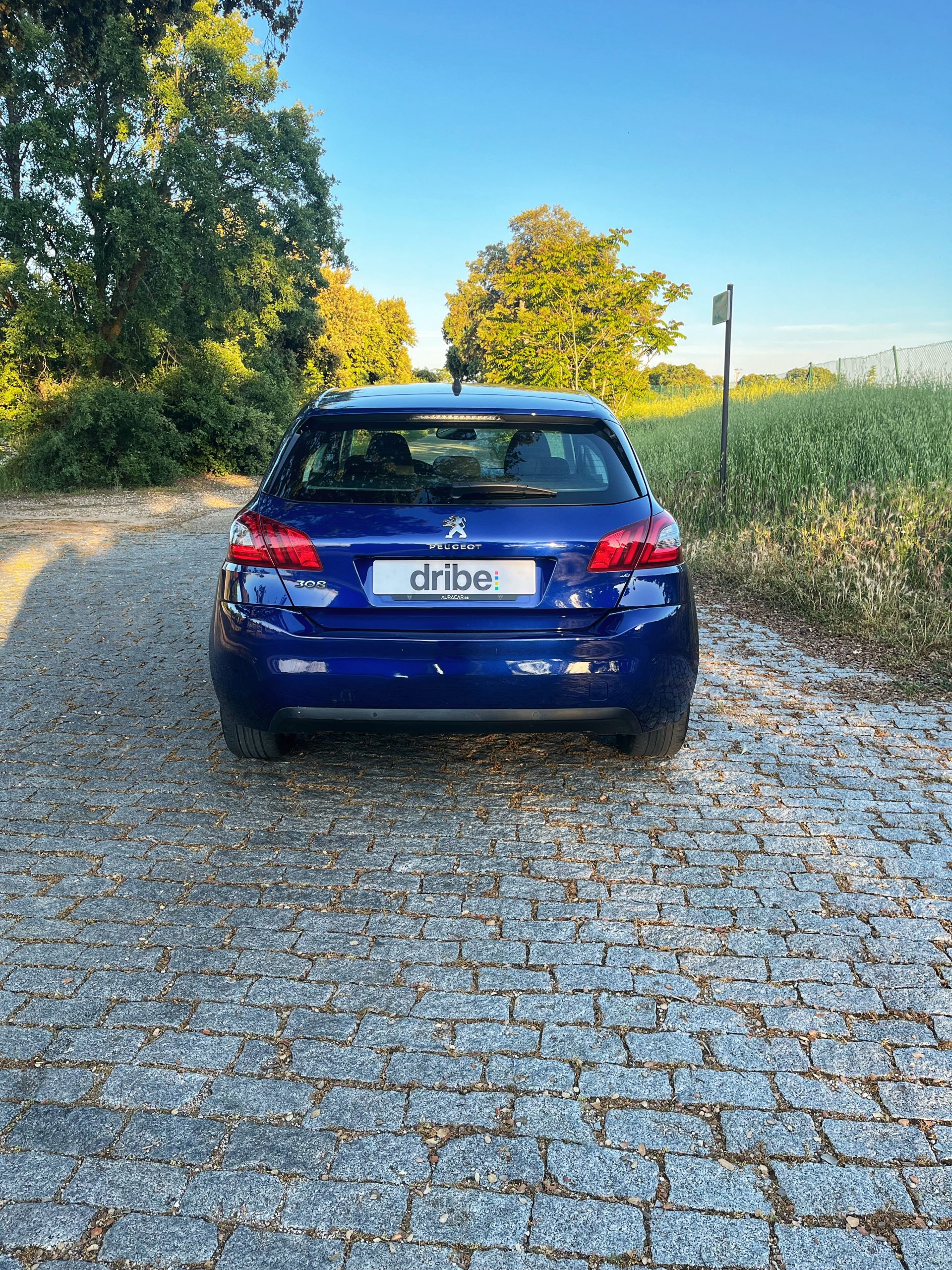 VENDIDO: PEUGEOT 308 ACTIVE 1.6 HDI 100CV