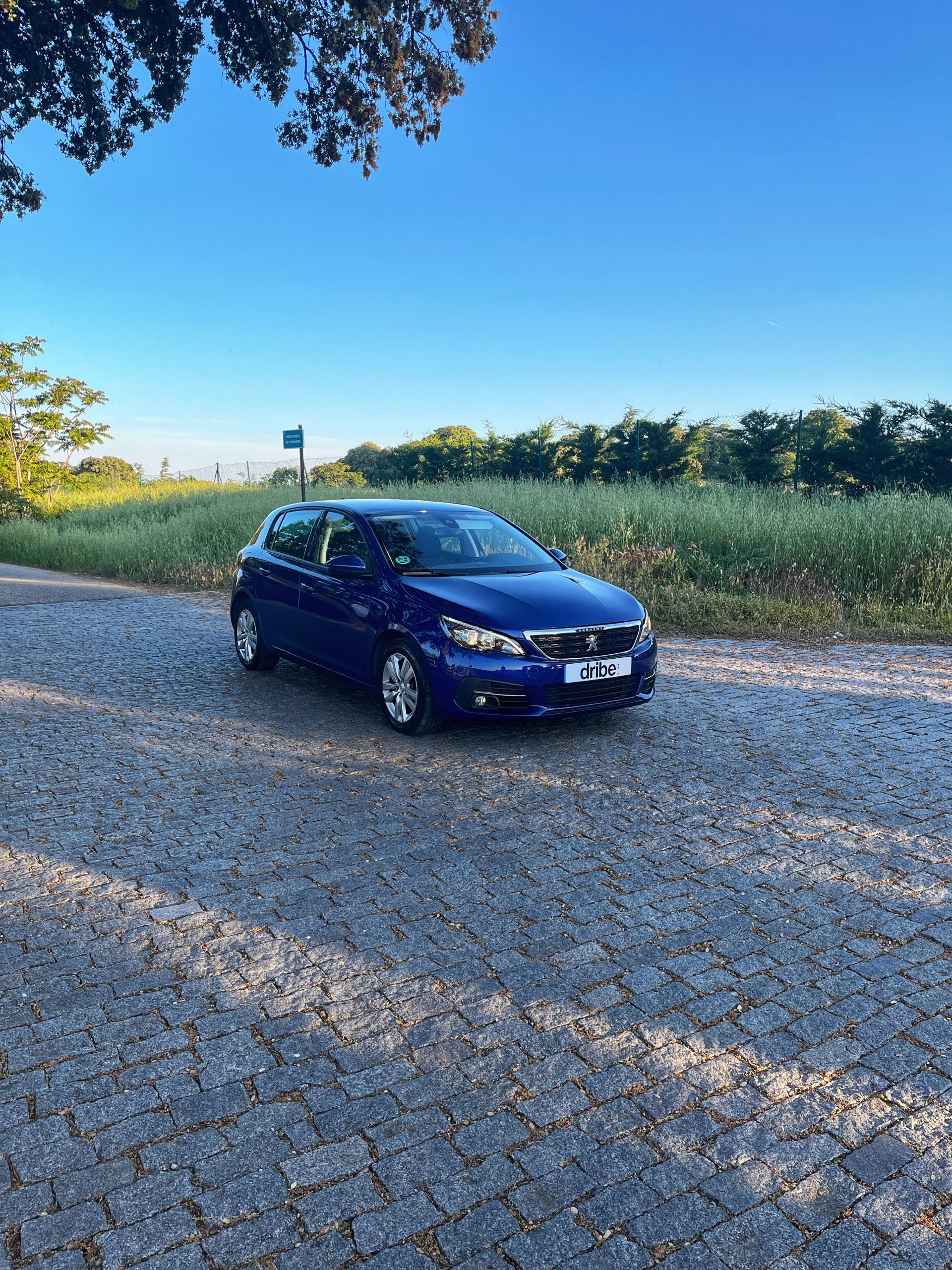 VENDIDO: PEUGEOT 308 ACTIVE 1.6 HDI 100CV