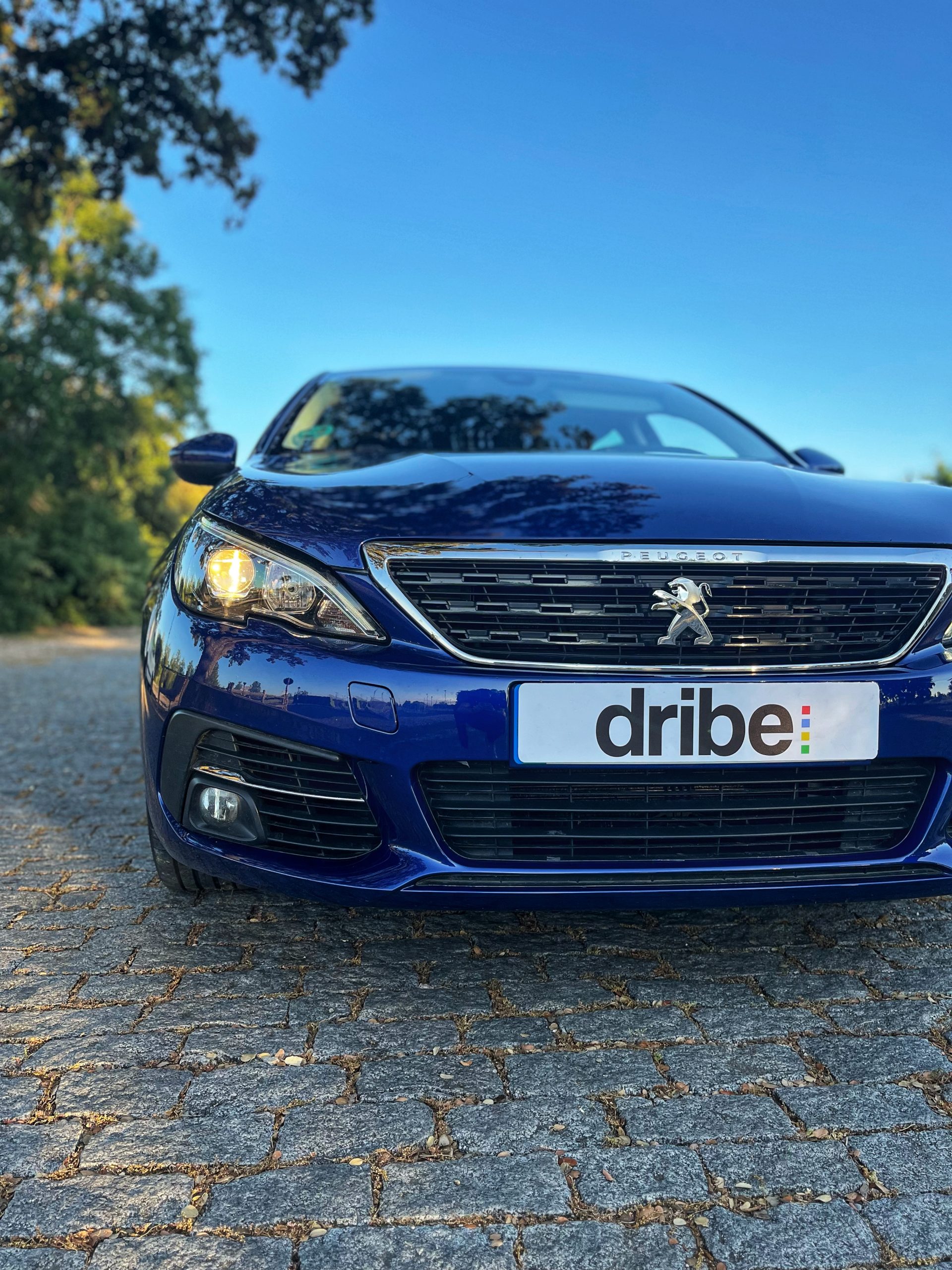 VENDIDO: PEUGEOT 308 ACTIVE 1.6 HDI 100CV