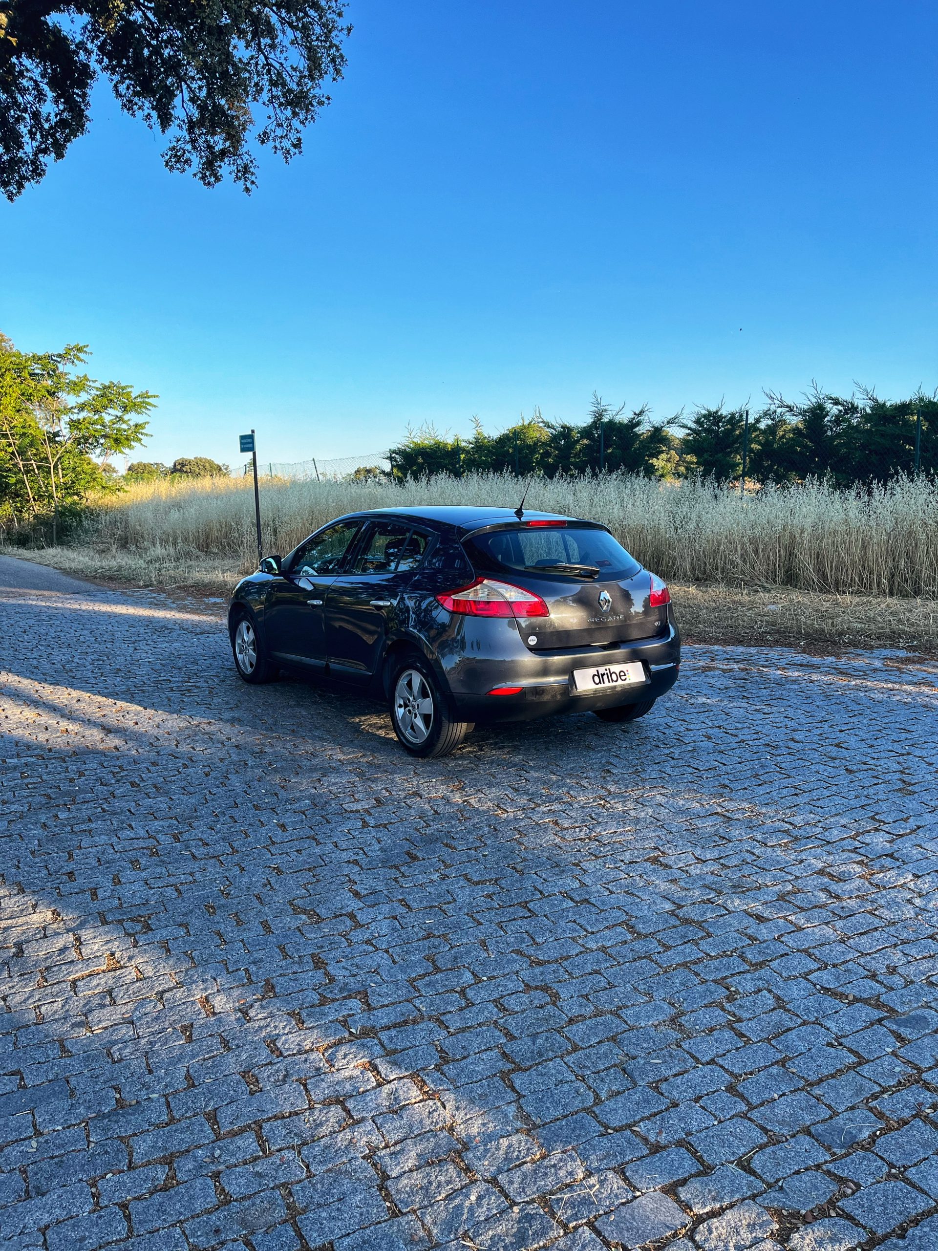 VENDIDO: Renault Megane Dynamique dCi 110cv