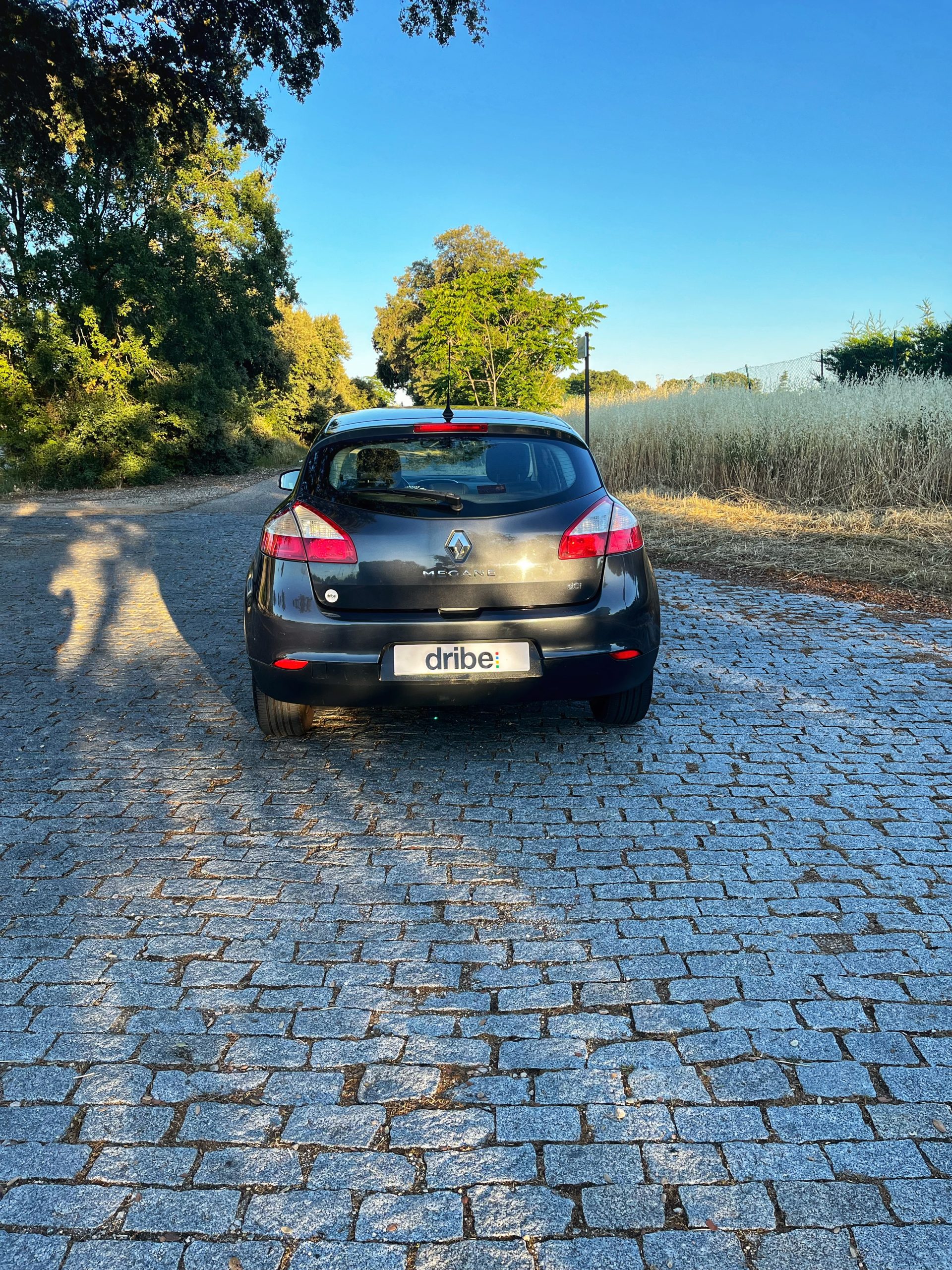 VENDIDO: Renault Megane Dynamique dCi 110cv