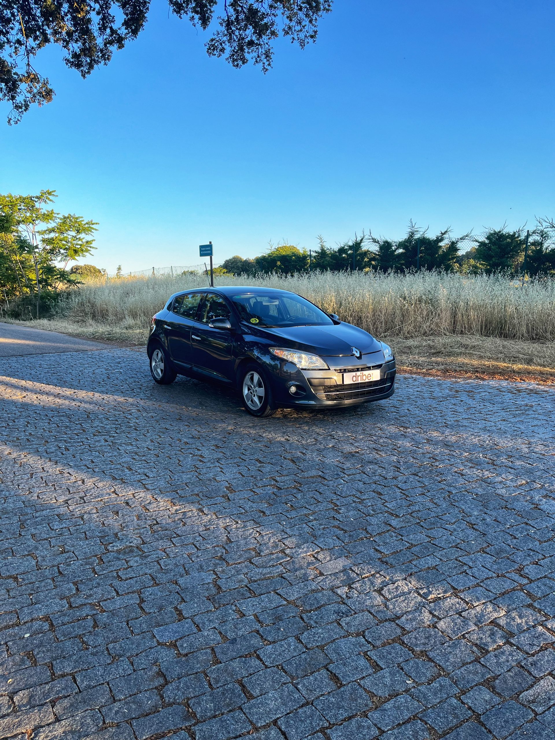 VENDIDO: Renault Megane Dynamique dCi 110cv