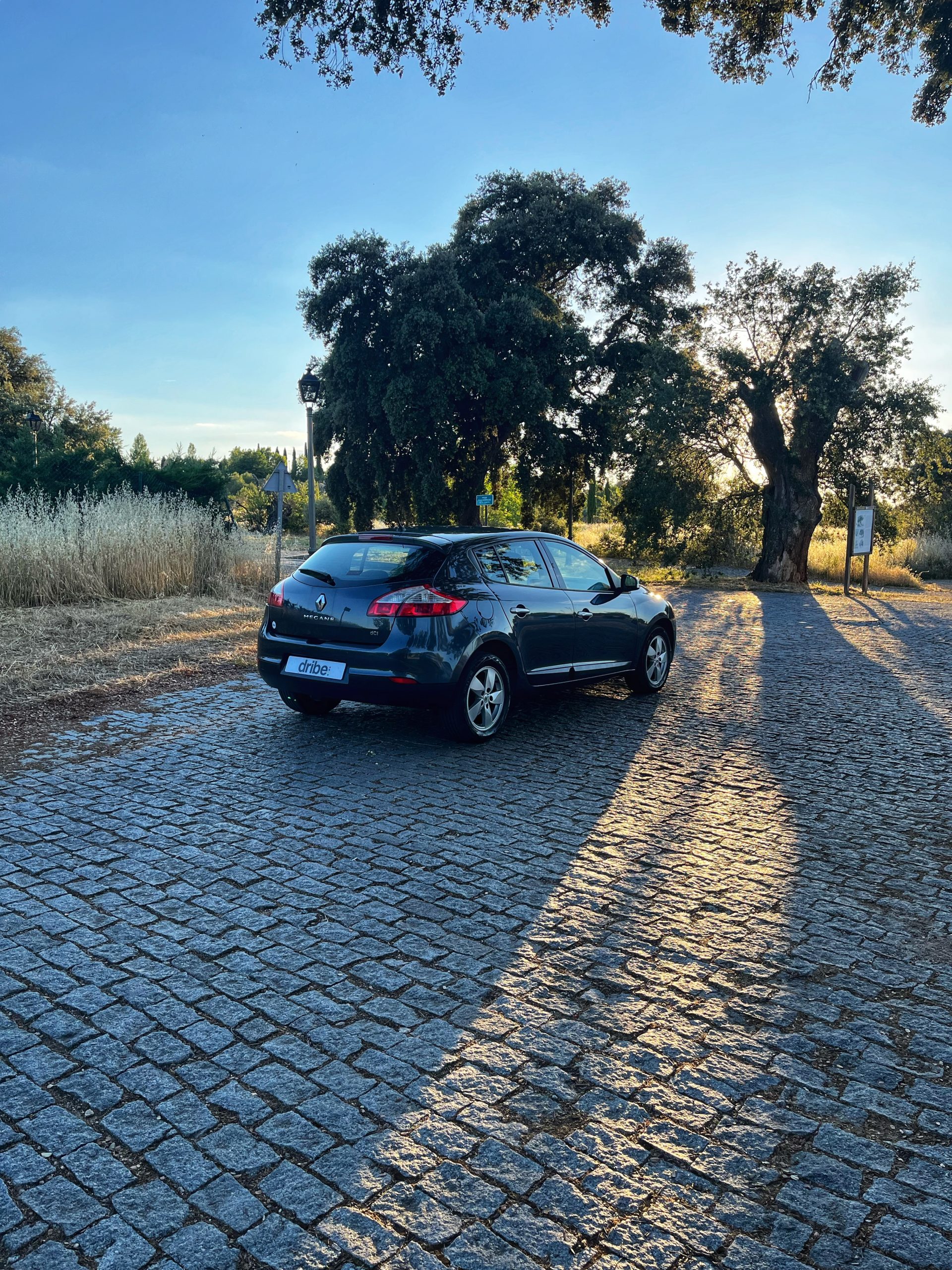 VENDIDO: Renault Megane Dynamique dCi 110cv