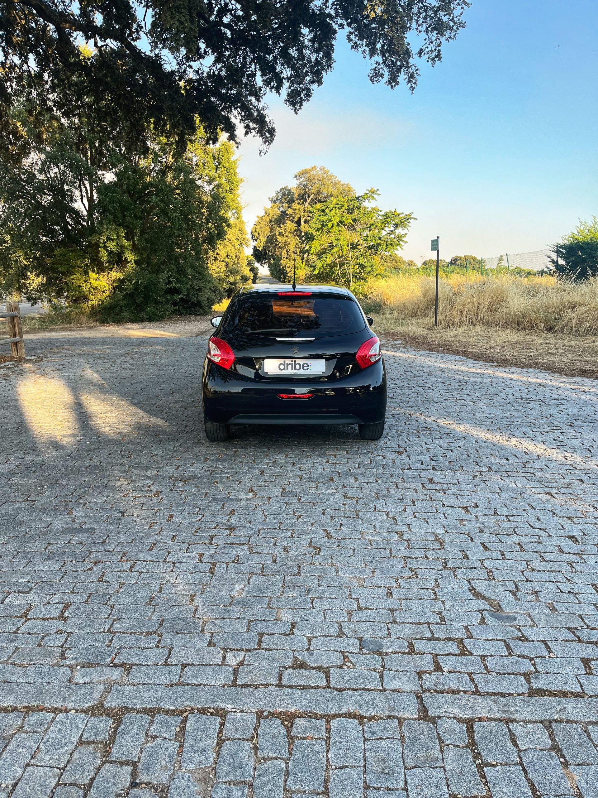 VENDIDO: Peugeot 208 Active 1.6 eHDI 92cv