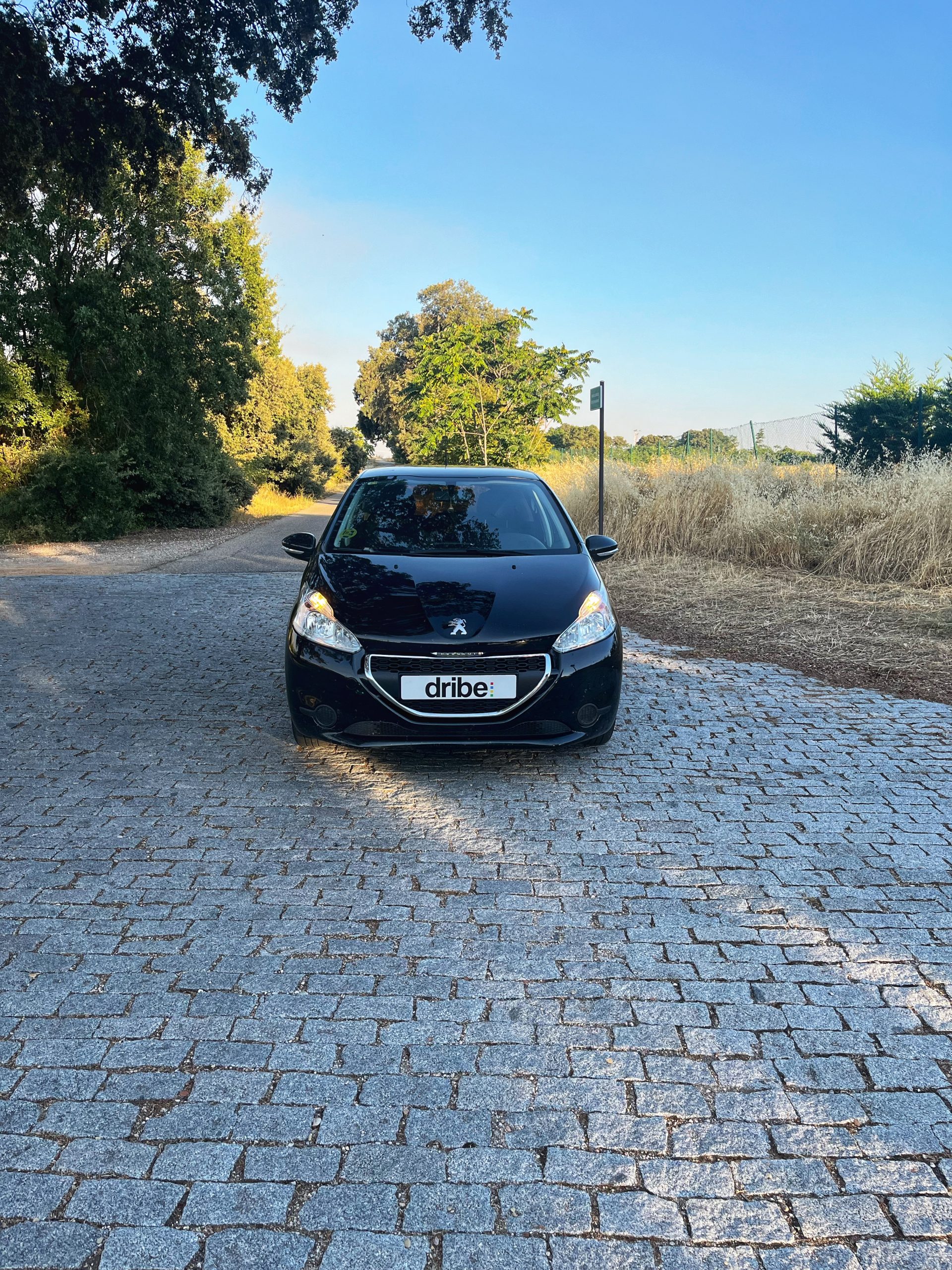 VENDIDO: Peugeot 208 Active 1.6 eHDI 92cv