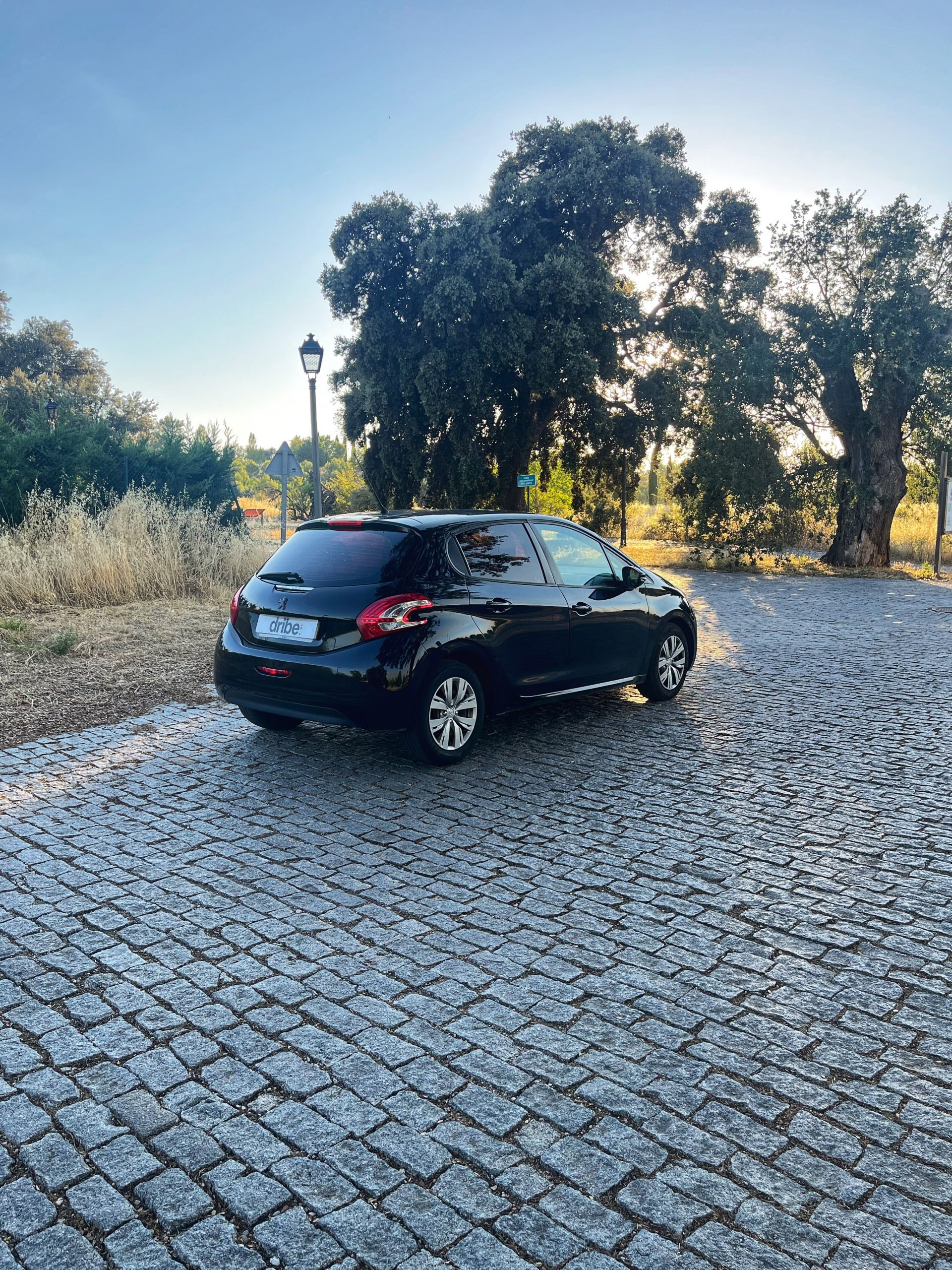 VENDIDO: Peugeot 208 Active 1.6 eHDI 92cv