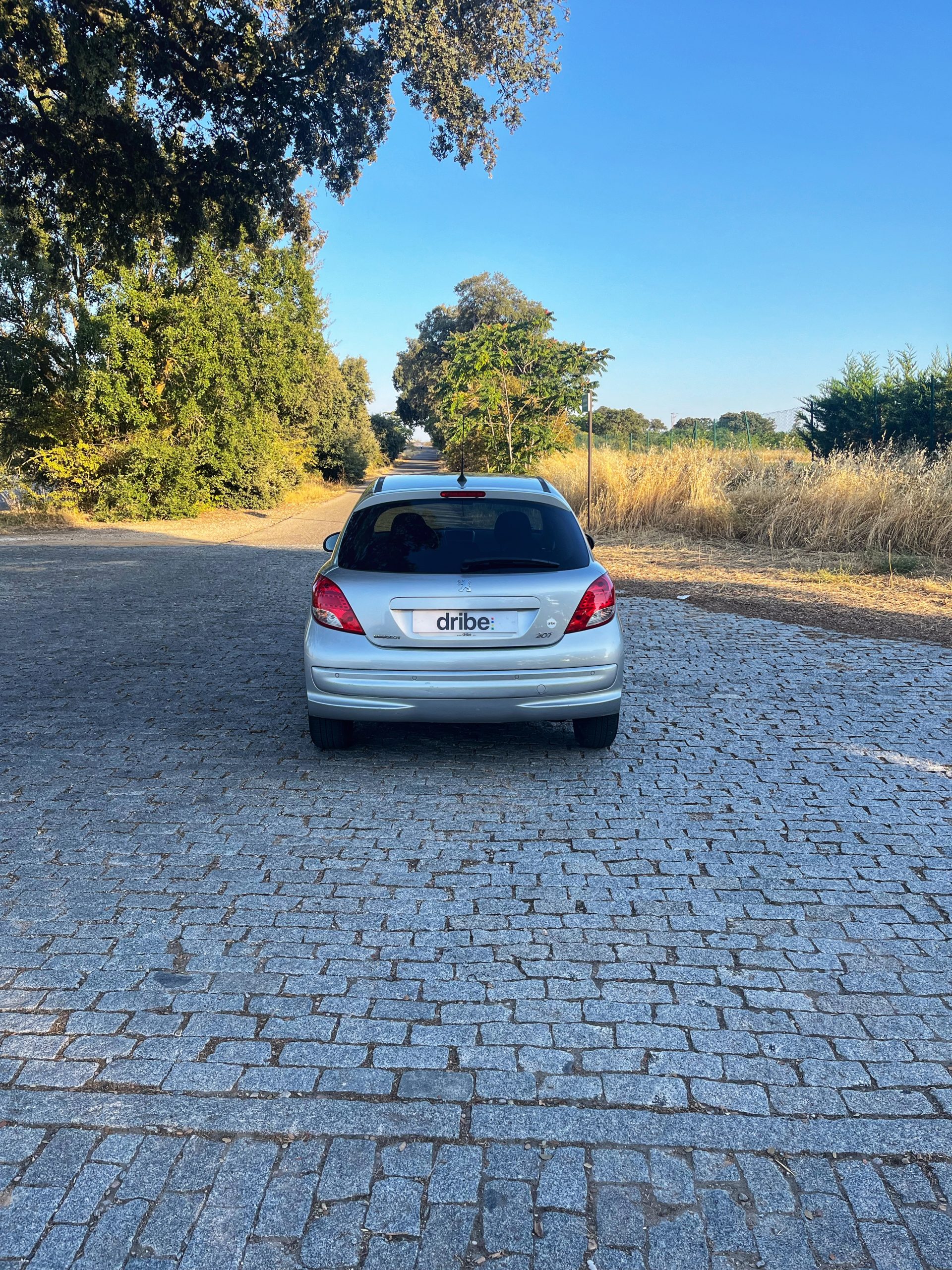PEUGEOT 207 SPORT VTi 95cv
