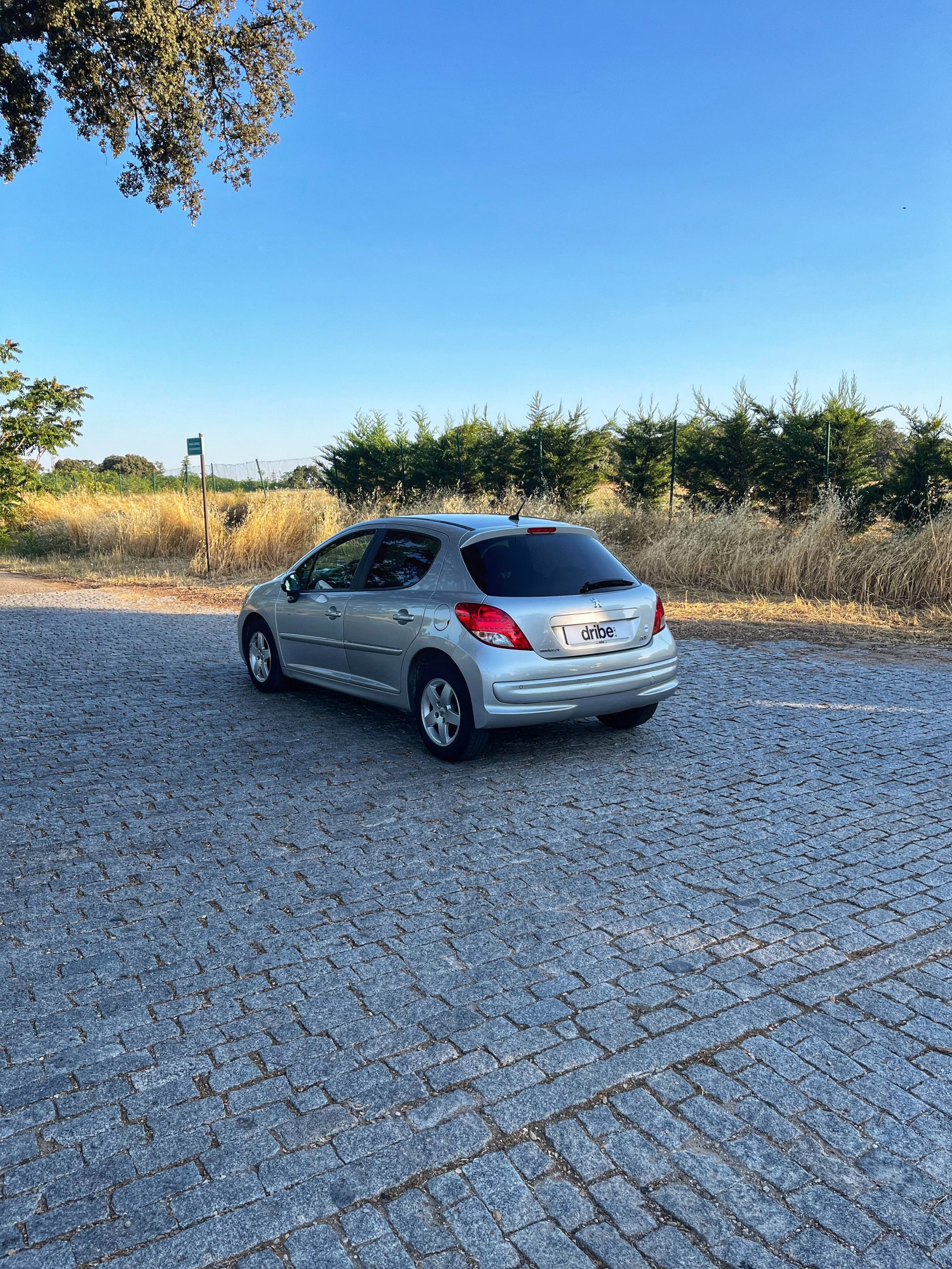 PEUGEOT 207 SPORT VTi 95cv