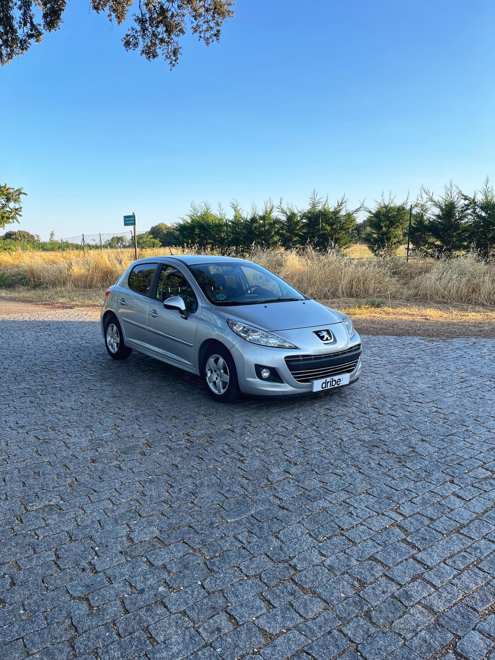 PEUGEOT 207 SPORT VTi 95cv