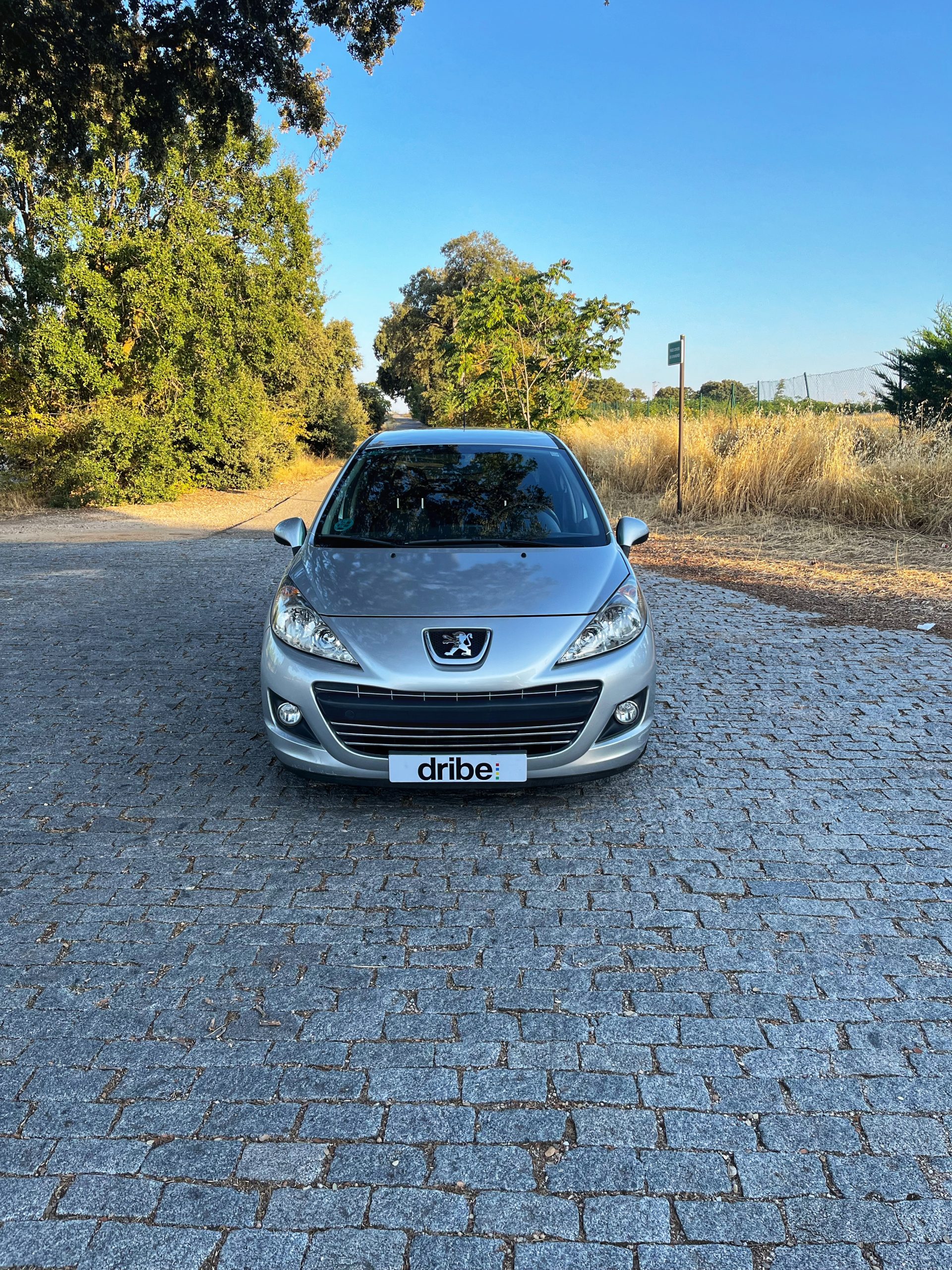 PEUGEOT 207 SPORT VTi 95cv