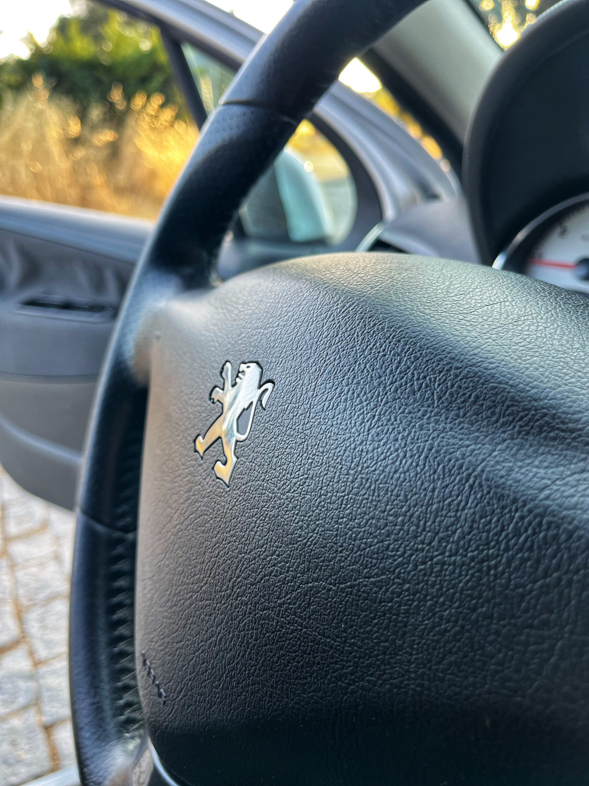 PEUGEOT 207 SPORT VTi 95cv