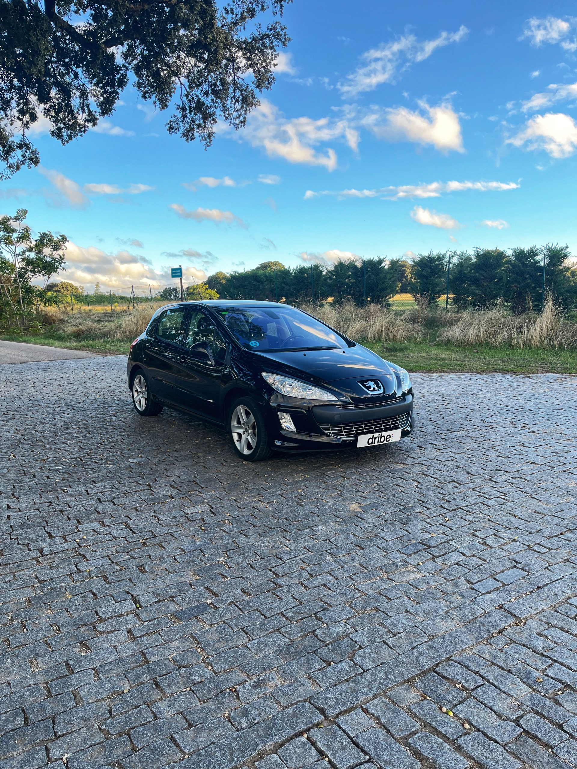 VENDIDO: Peugeot 308 Premium 1.6 VTi 120cv