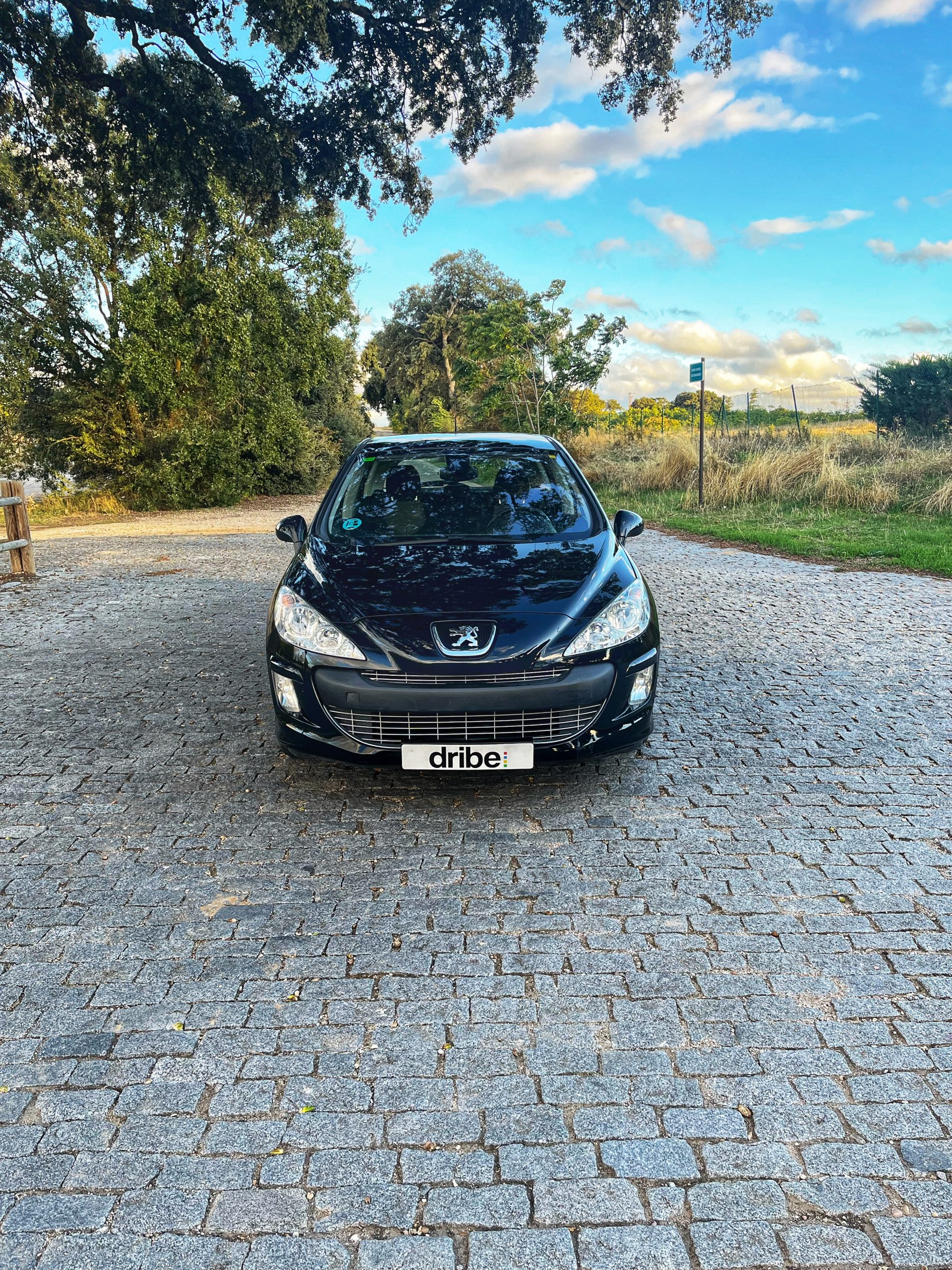 VENDIDO: Peugeot 308 Premium 1.6 VTi 120cv