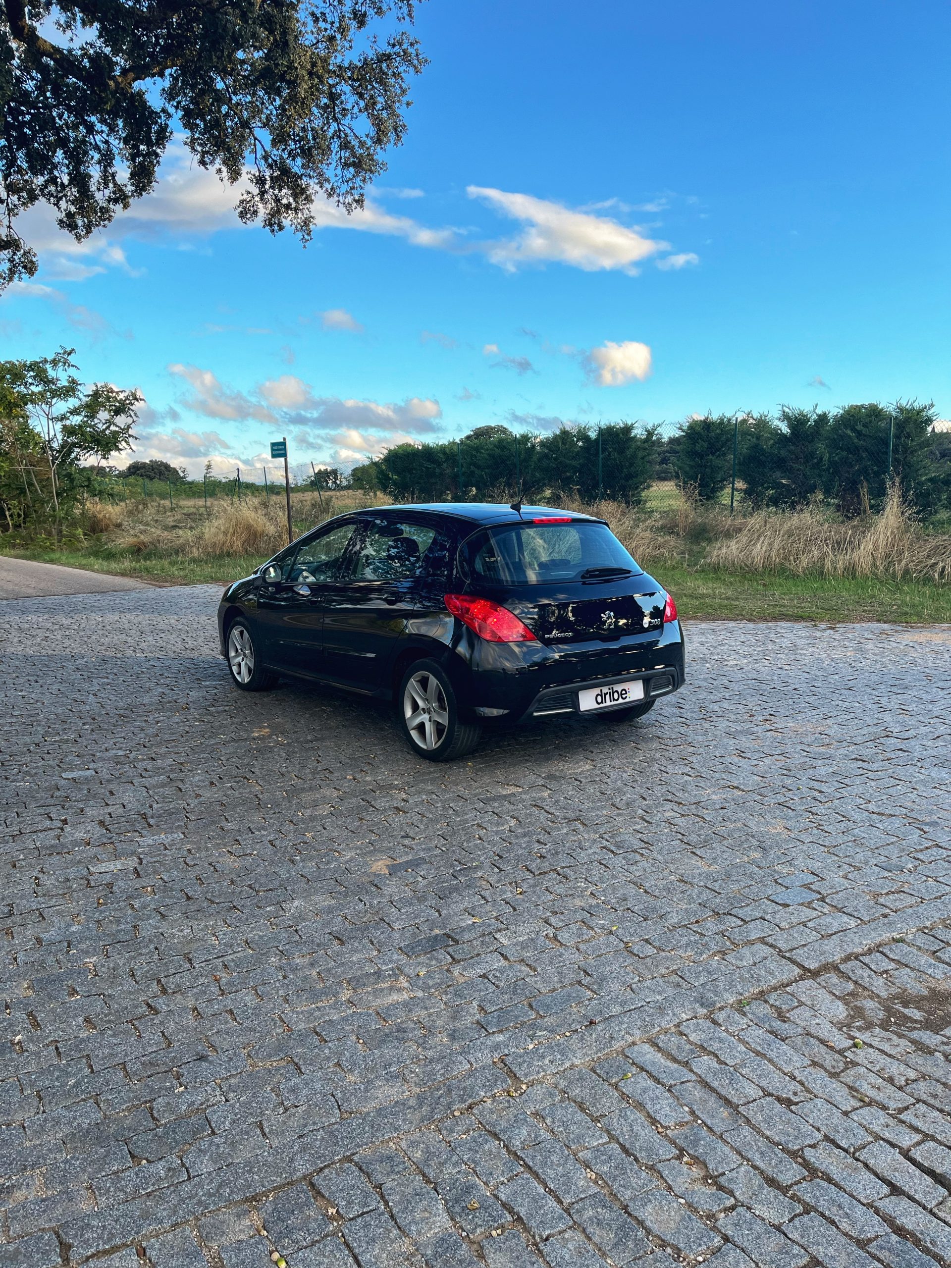 VENDIDO: Peugeot 308 Premium 1.6 VTi 120cv