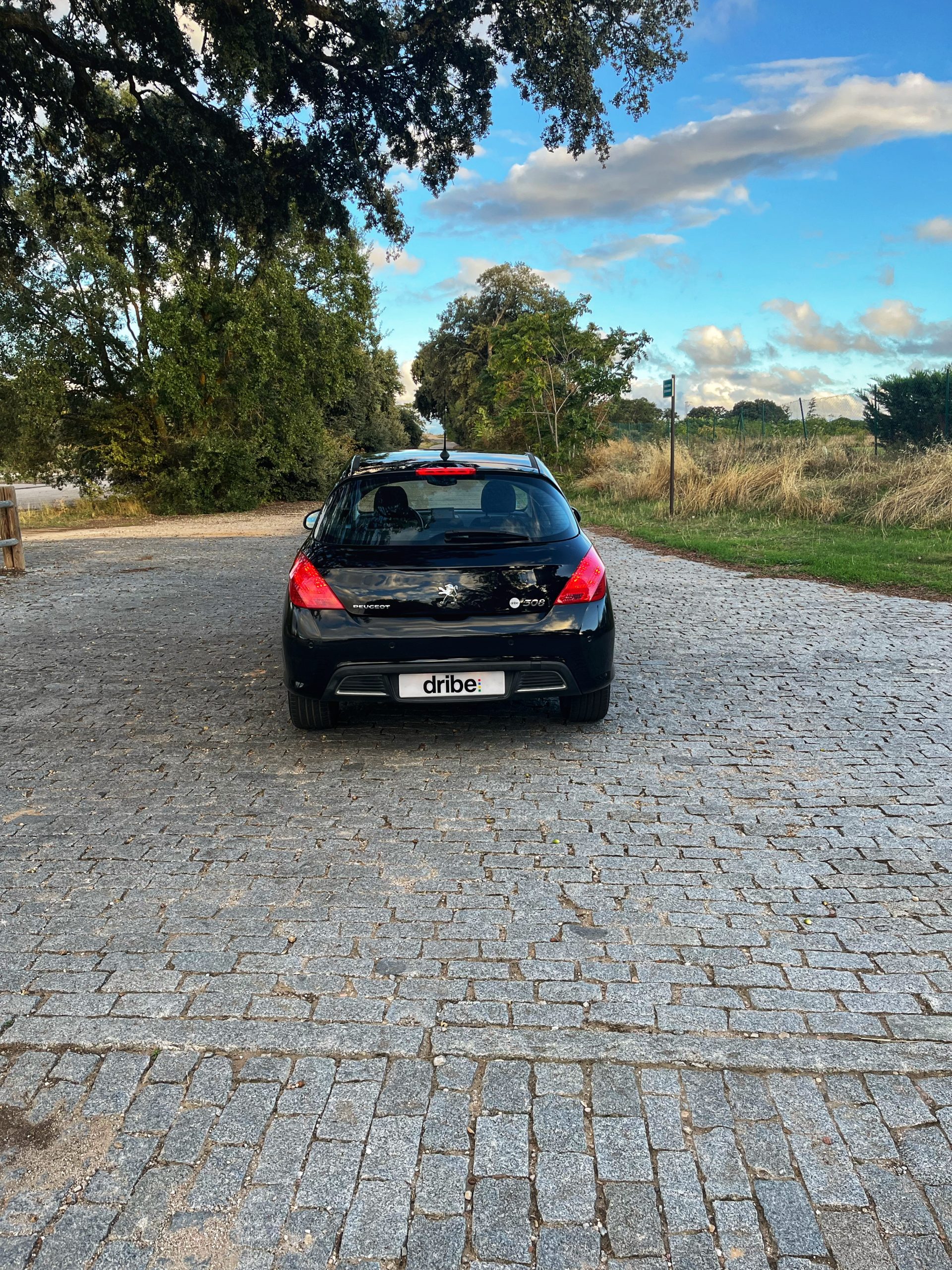 VENDIDO: Peugeot 308 Premium 1.6 VTi 120cv