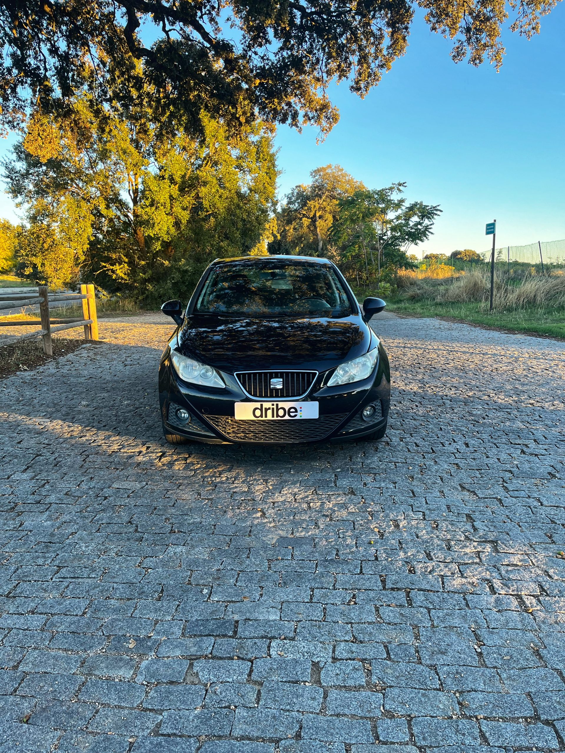VENDIDO: SEAT IBIZA STYLE 1.6 TDI 105cv