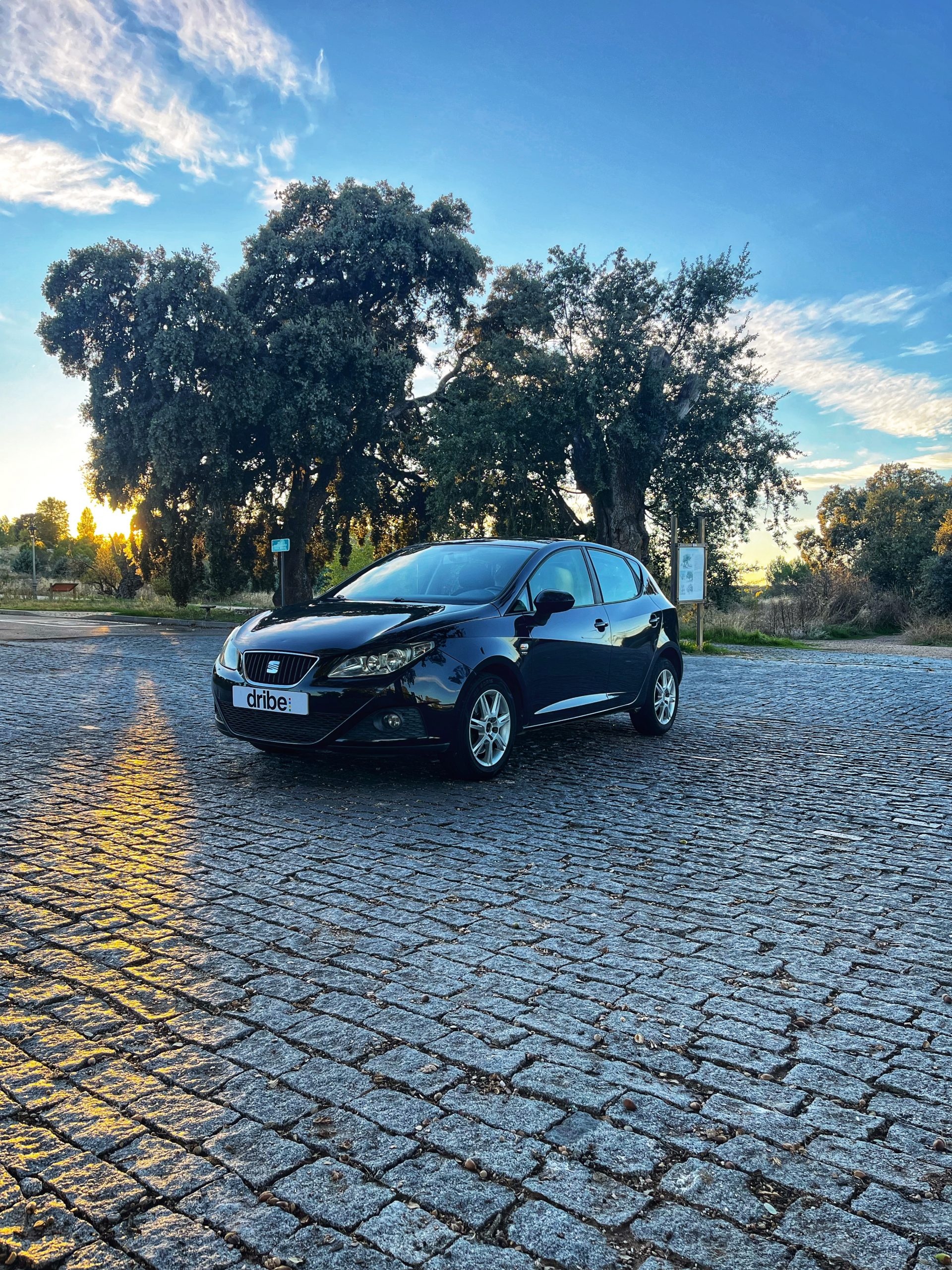 VENDIDO: SEAT IBIZA STYLE 1.6 TDI 105cv