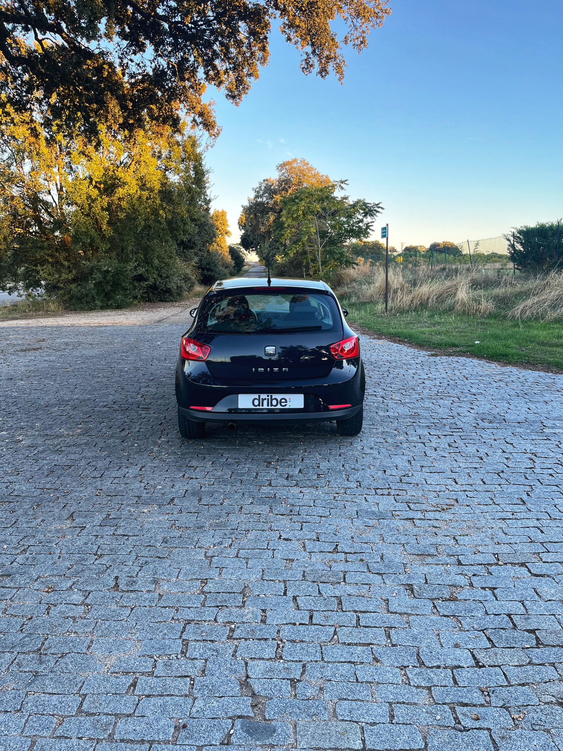 VENDIDO: SEAT IBIZA STYLE 1.6 TDI 105cv