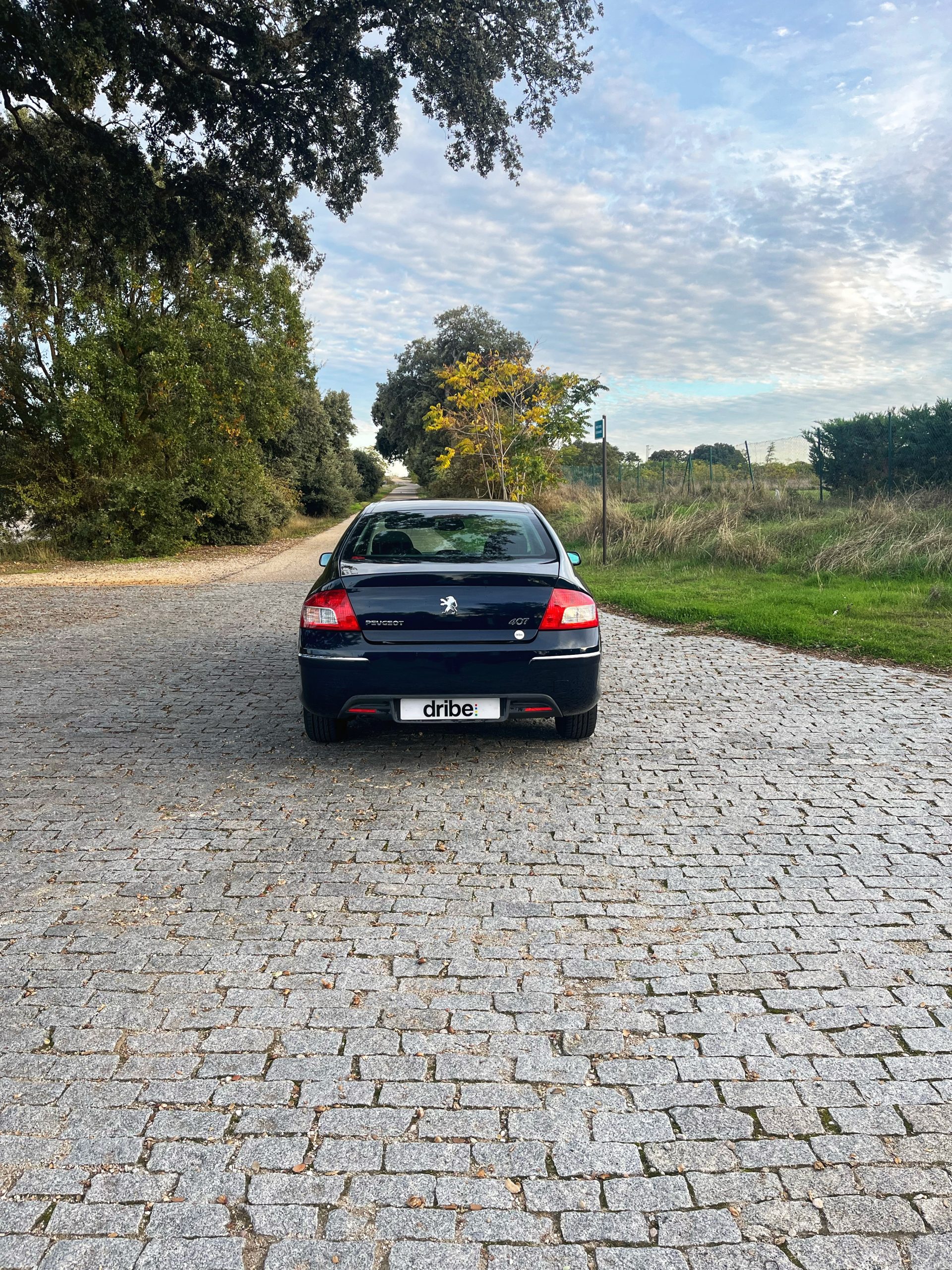 VENDIDO: PEUGEOT 407 SPORT 1.6 HDI 110CV