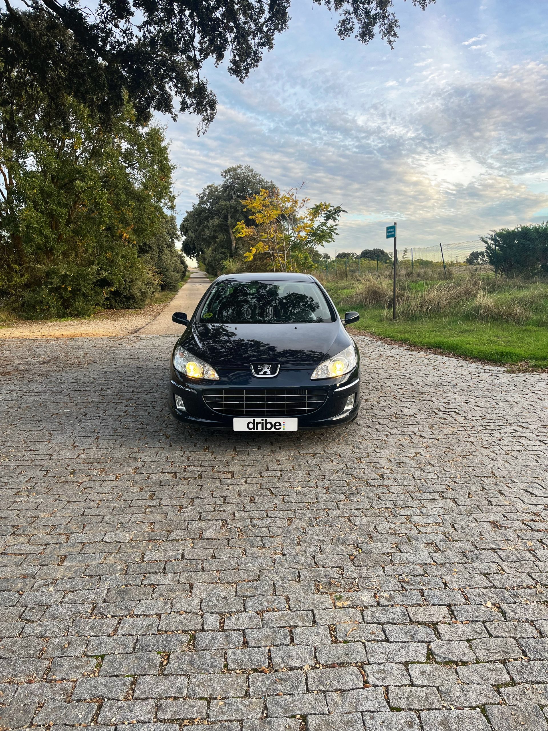 VENDIDO: PEUGEOT 407 SPORT 1.6 HDI 110CV