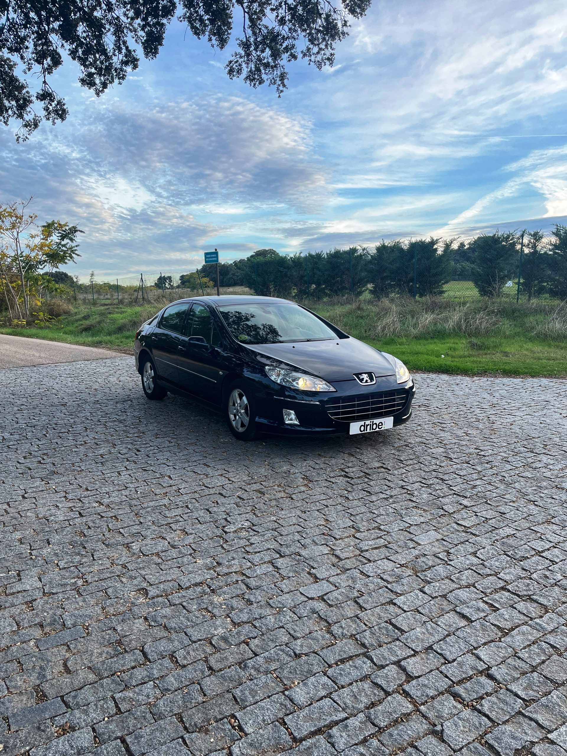VENDIDO: PEUGEOT 407 SPORT 1.6 HDI 110CV