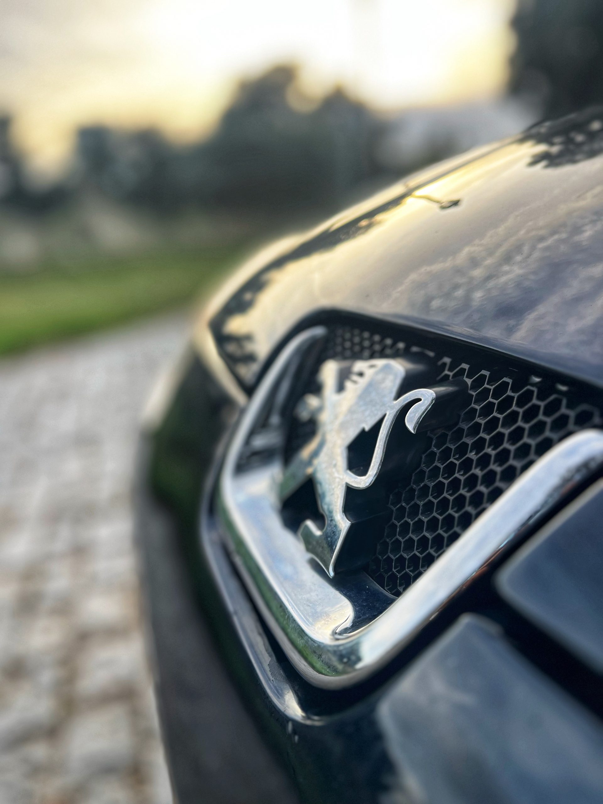 VENDIDO: PEUGEOT 407 SPORT 1.6 HDI 110CV