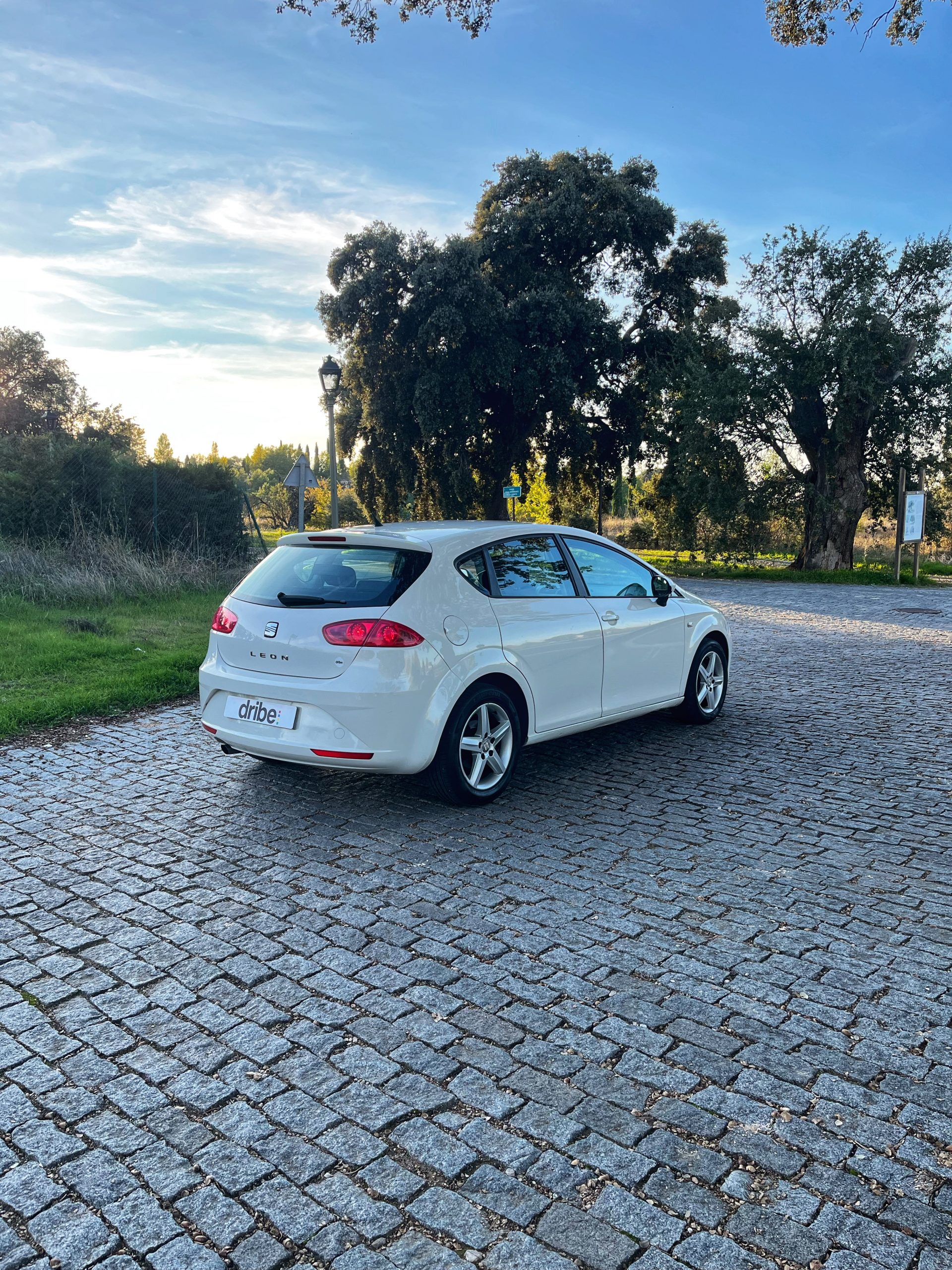 VENDIDO: SEAT LEON STYLE 1.6 TDI 105CV