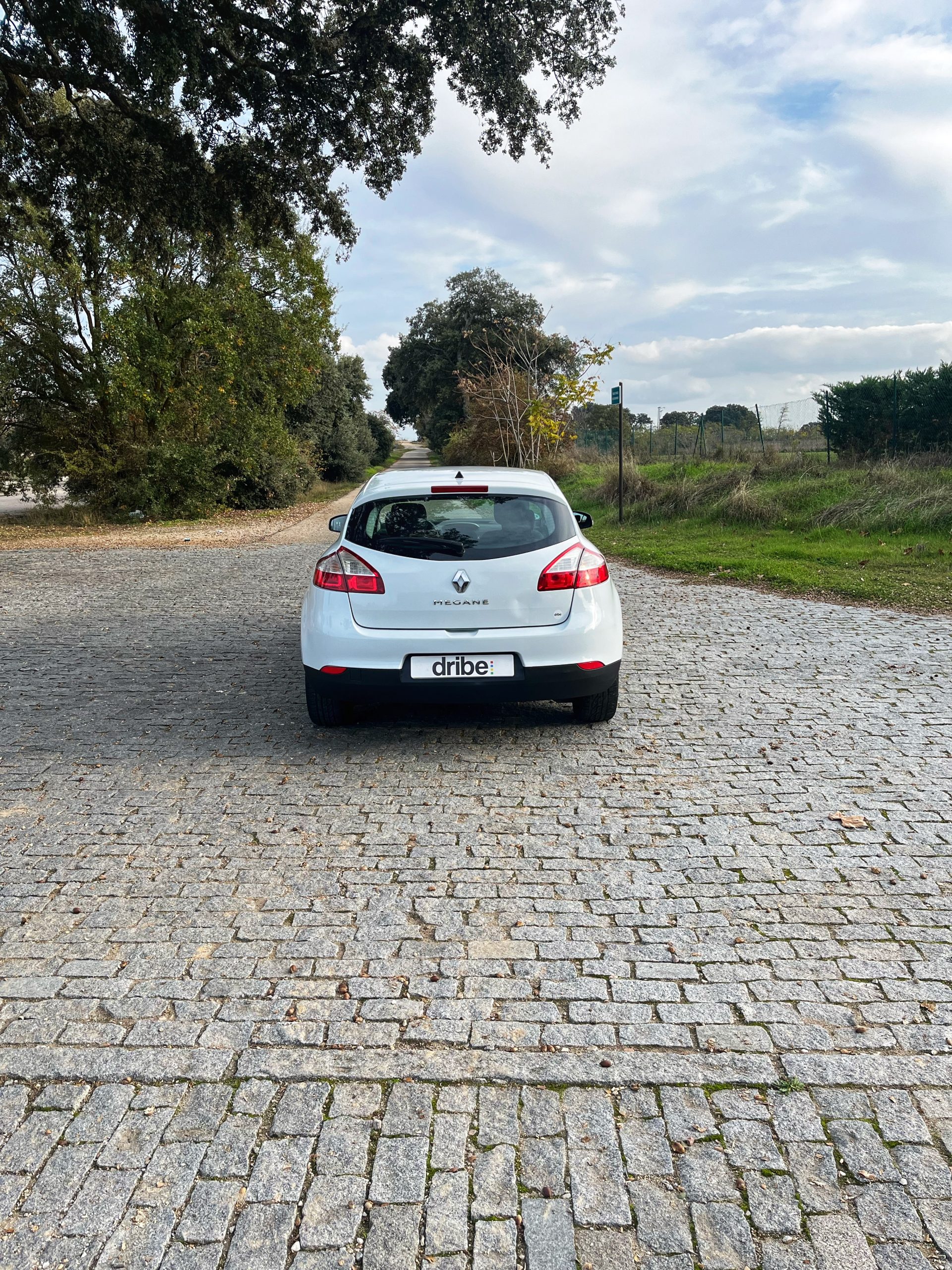 VENDIDO: RENAULT MEGANE EMOTION 1.6 110cv