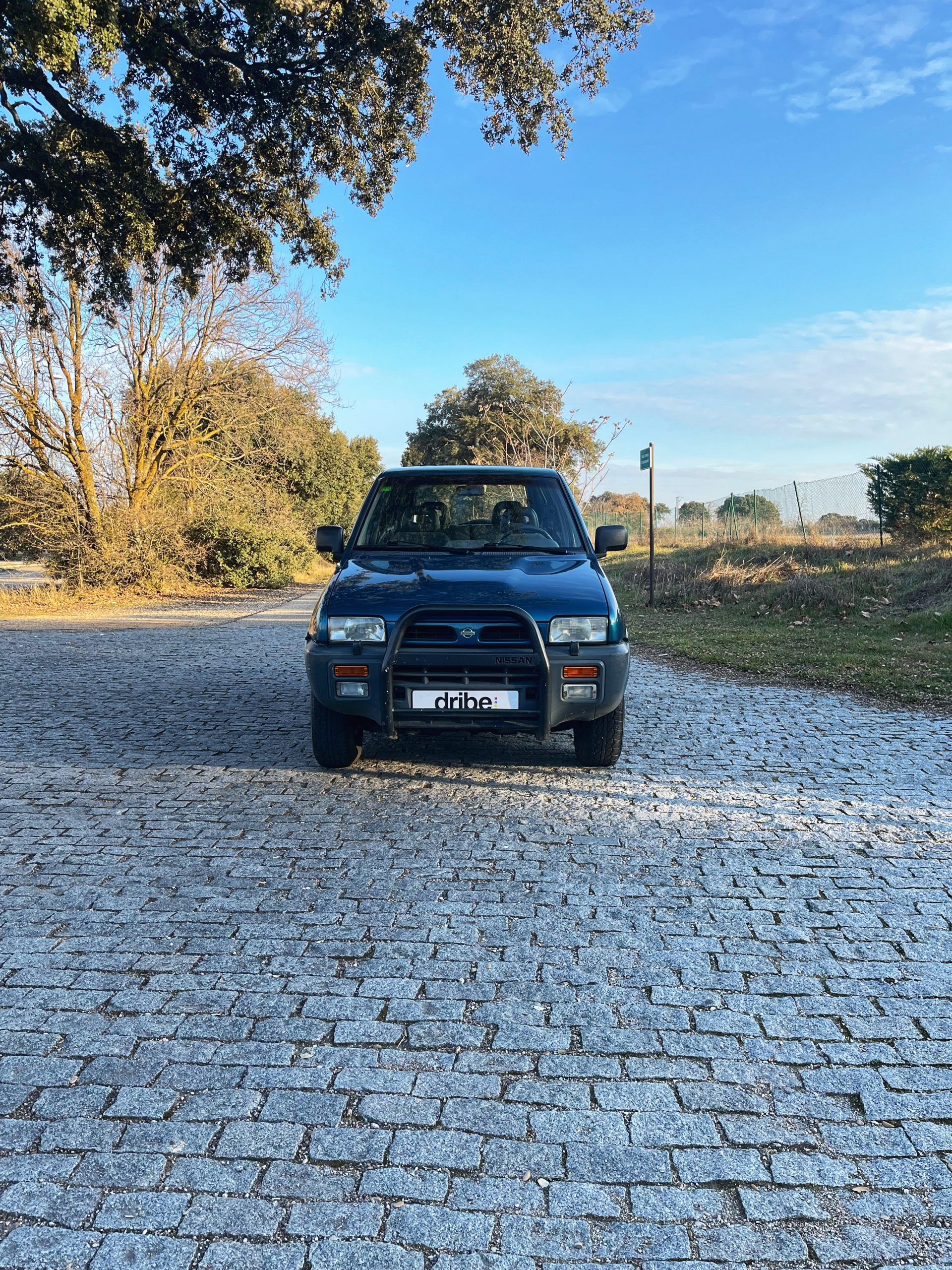 VENDIDO: NISSAN TERRANO II SGX 2.7 TD 100CV 4X4