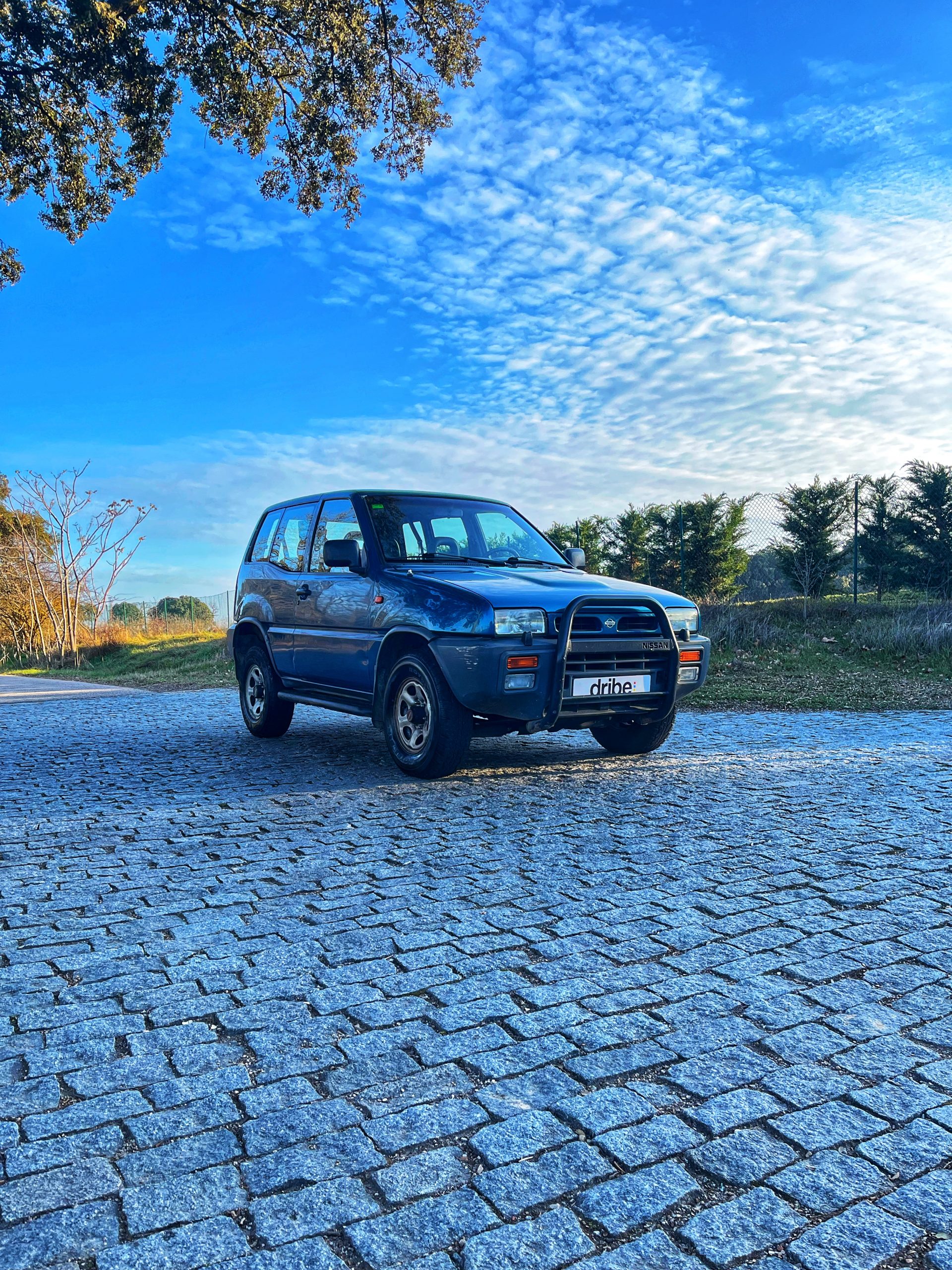 VENDIDO: NISSAN TERRANO II SGX 2.7 TD 100CV 4X4