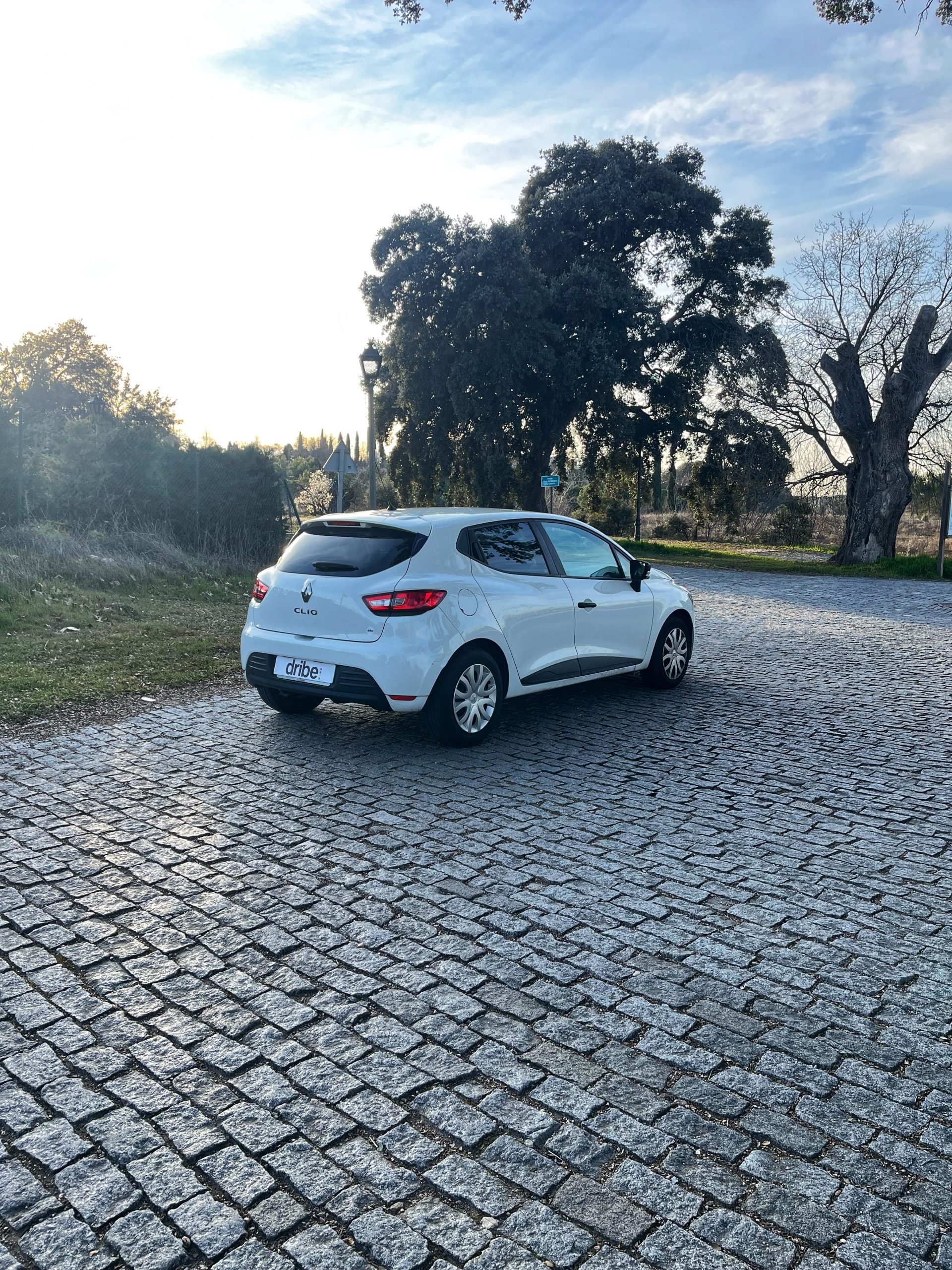 RENAULT CLIO BUSINESS ENERGY 1.5 dCi 75cv