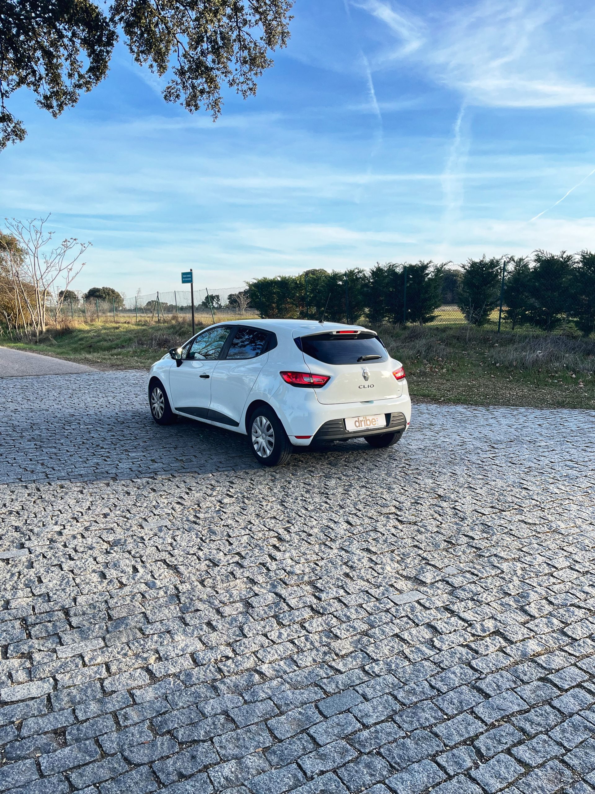 RENAULT CLIO BUSINESS ENERGY 1.5 dCi 75cv