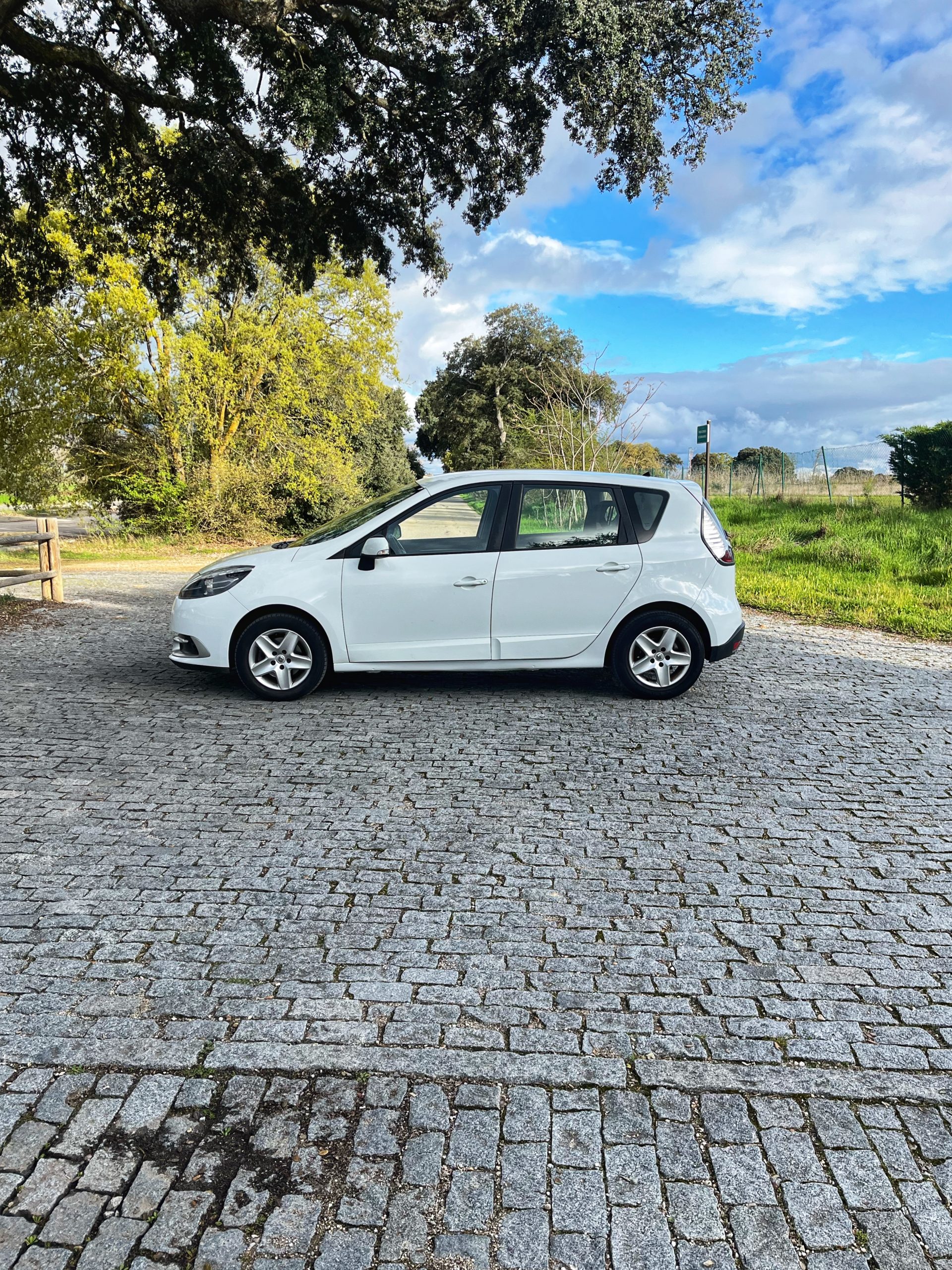 VENDIDO: RENAULT SCENIC SELECTION ENERGY DCI 110CV