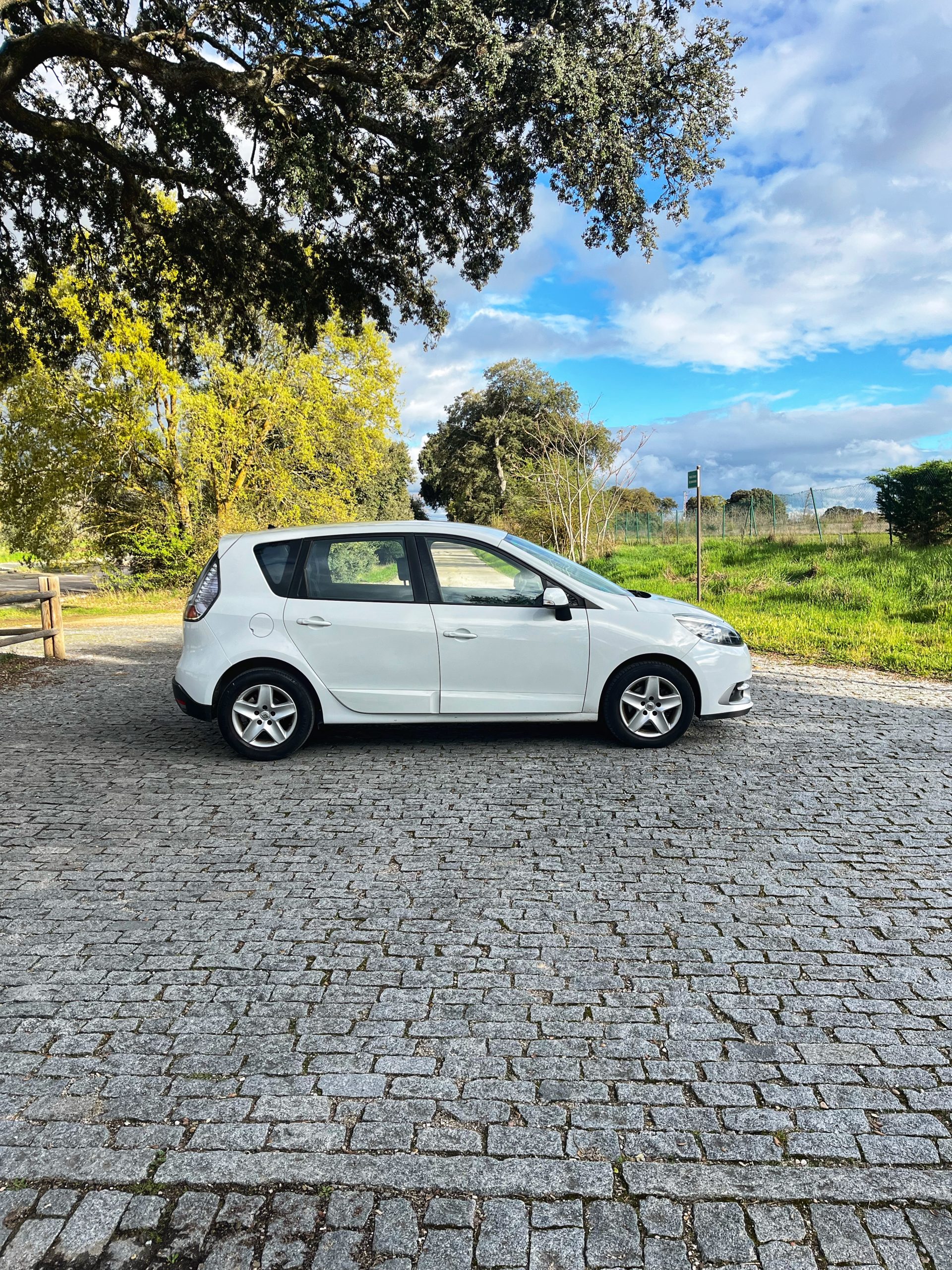 VENDIDO: RENAULT SCENIC SELECTION ENERGY DCI 110CV