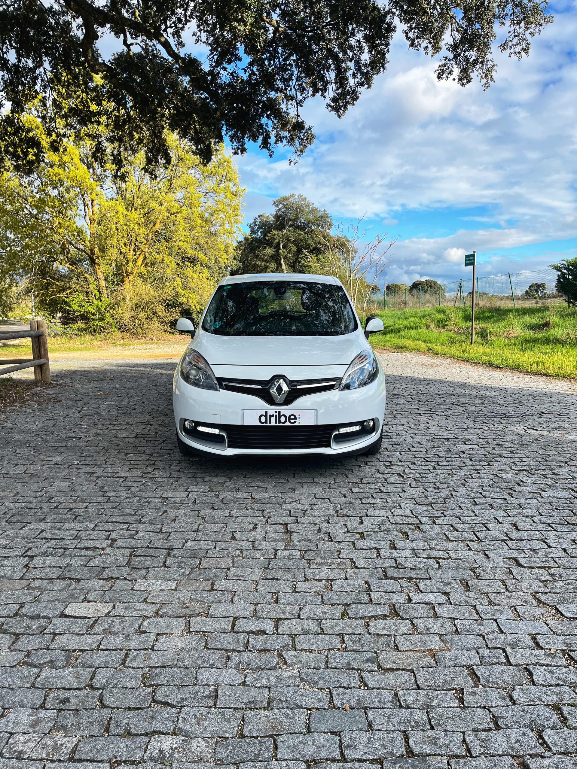VENDIDO: RENAULT SCENIC SELECTION ENERGY DCI 110CV