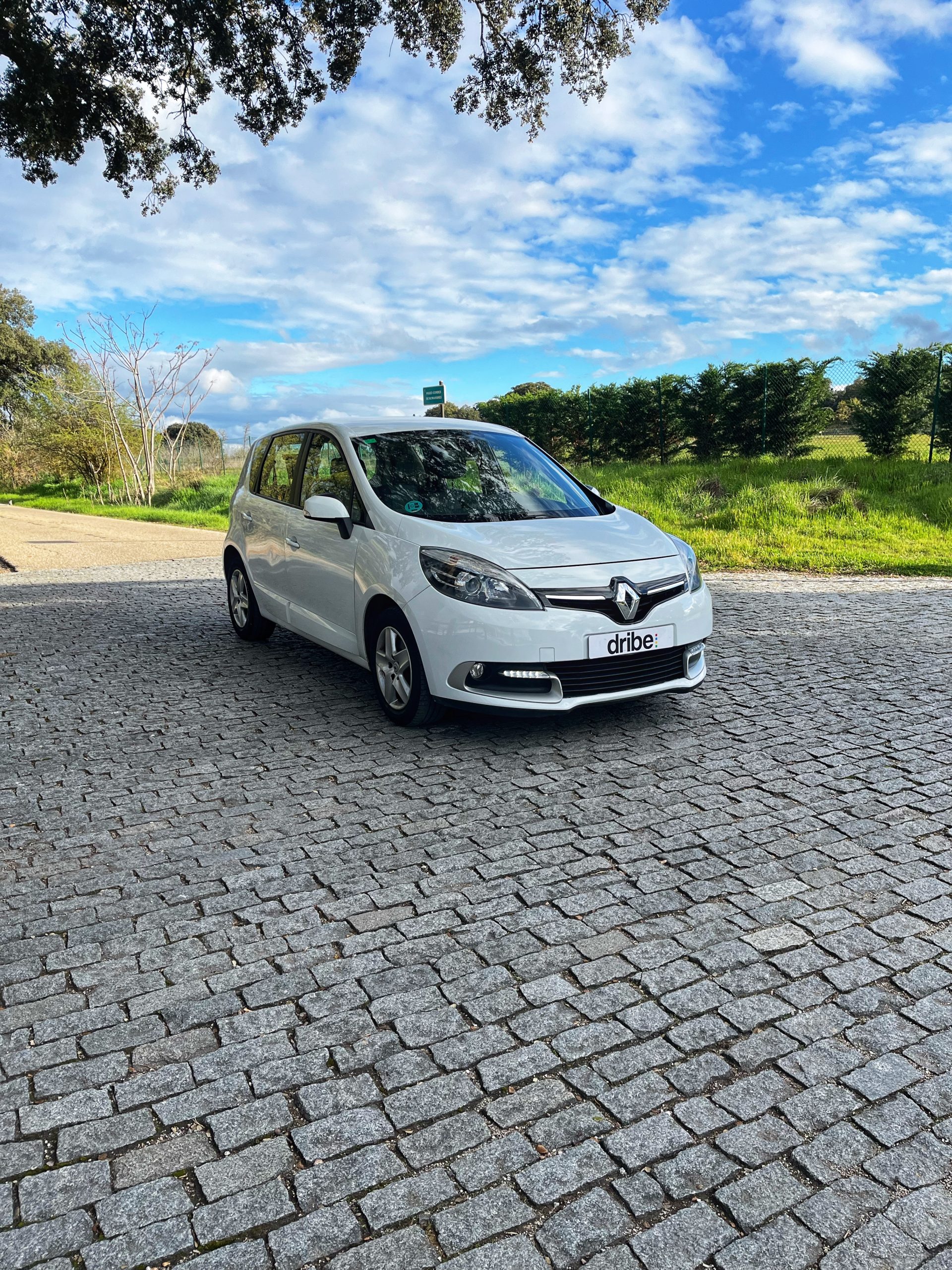 VENDIDO: RENAULT SCENIC SELECTION ENERGY DCI 110CV