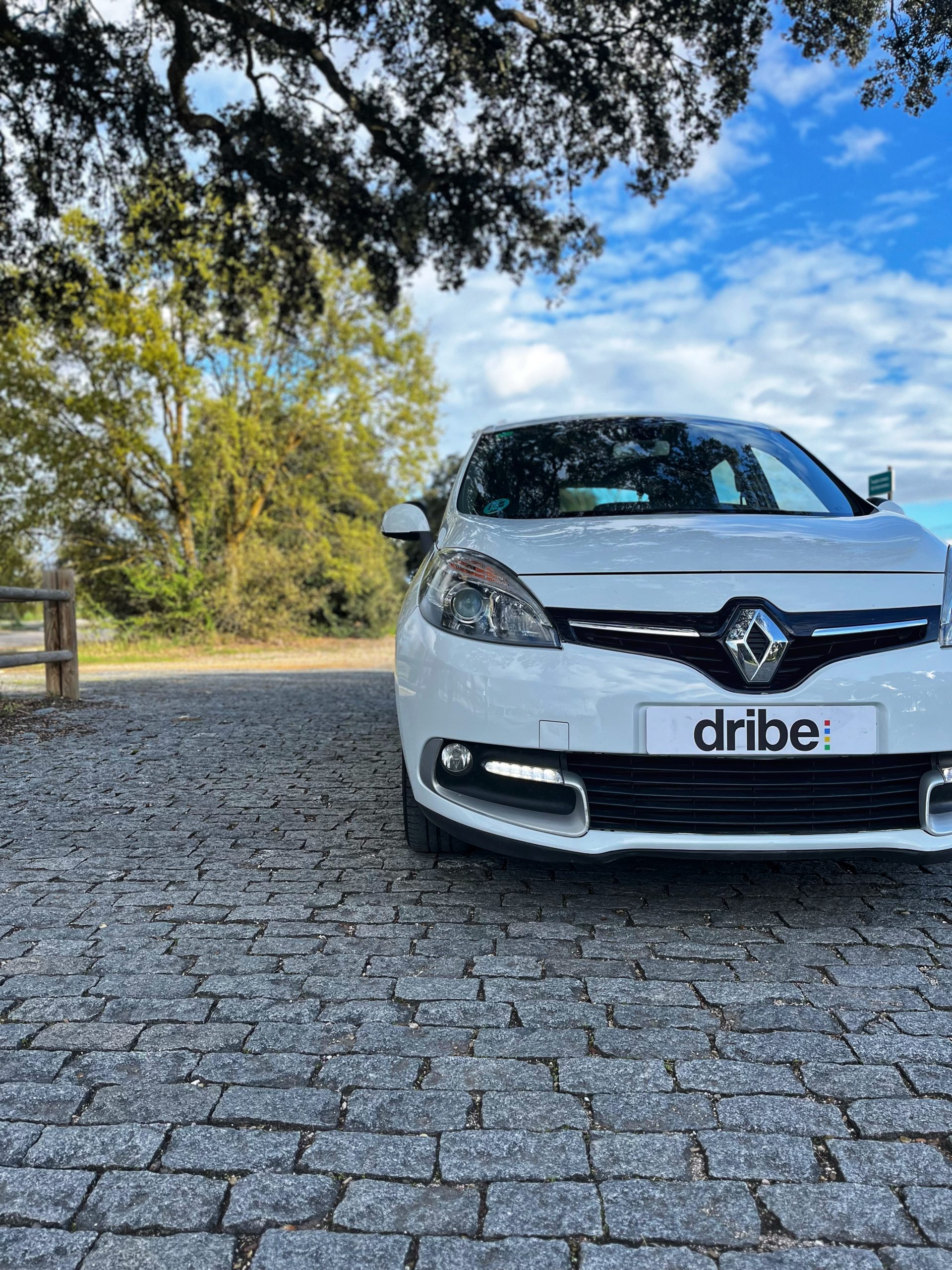 VENDIDO: RENAULT SCENIC SELECTION ENERGY DCI 110CV