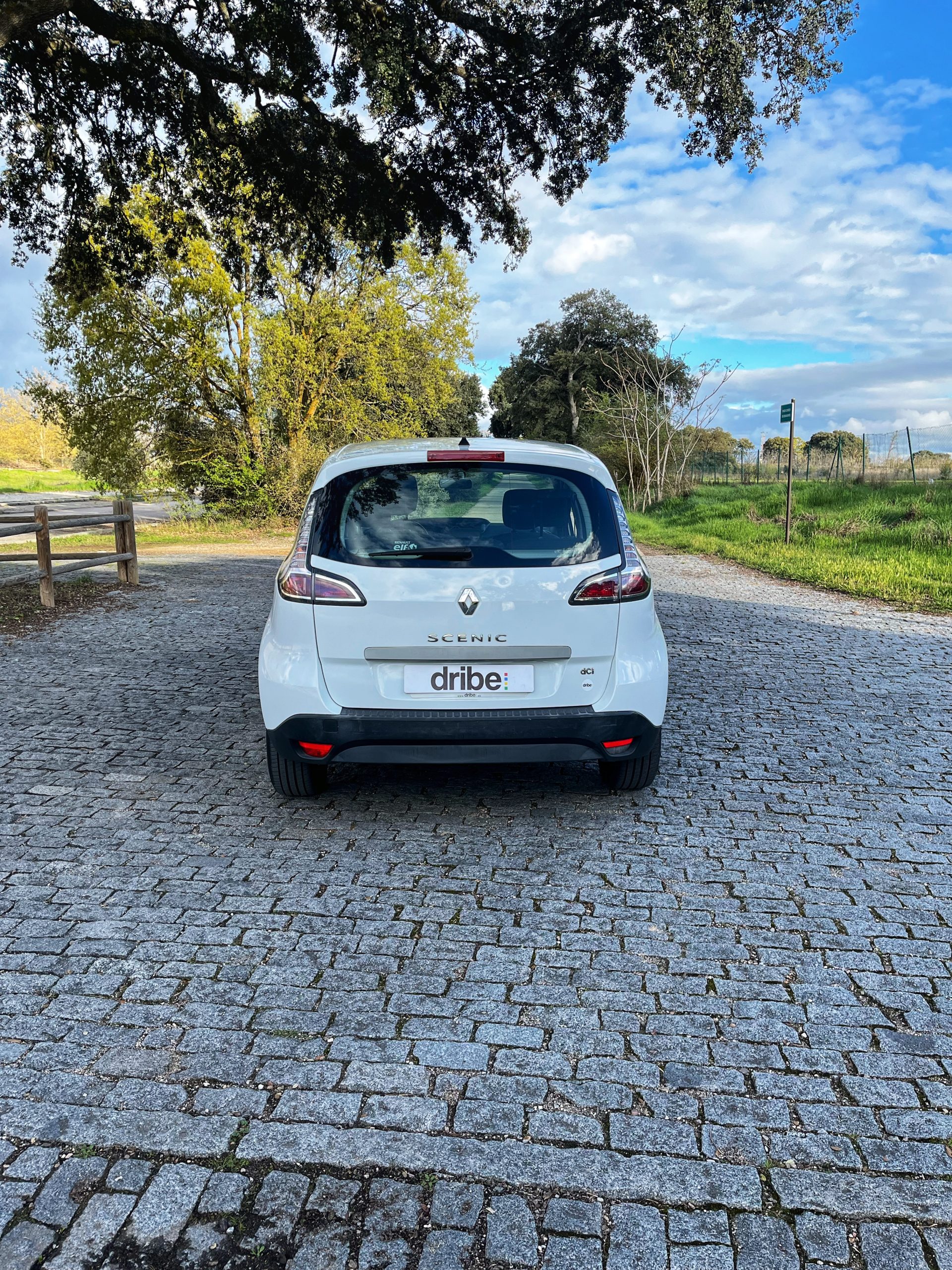 VENDIDO: RENAULT SCENIC SELECTION ENERGY DCI 110CV