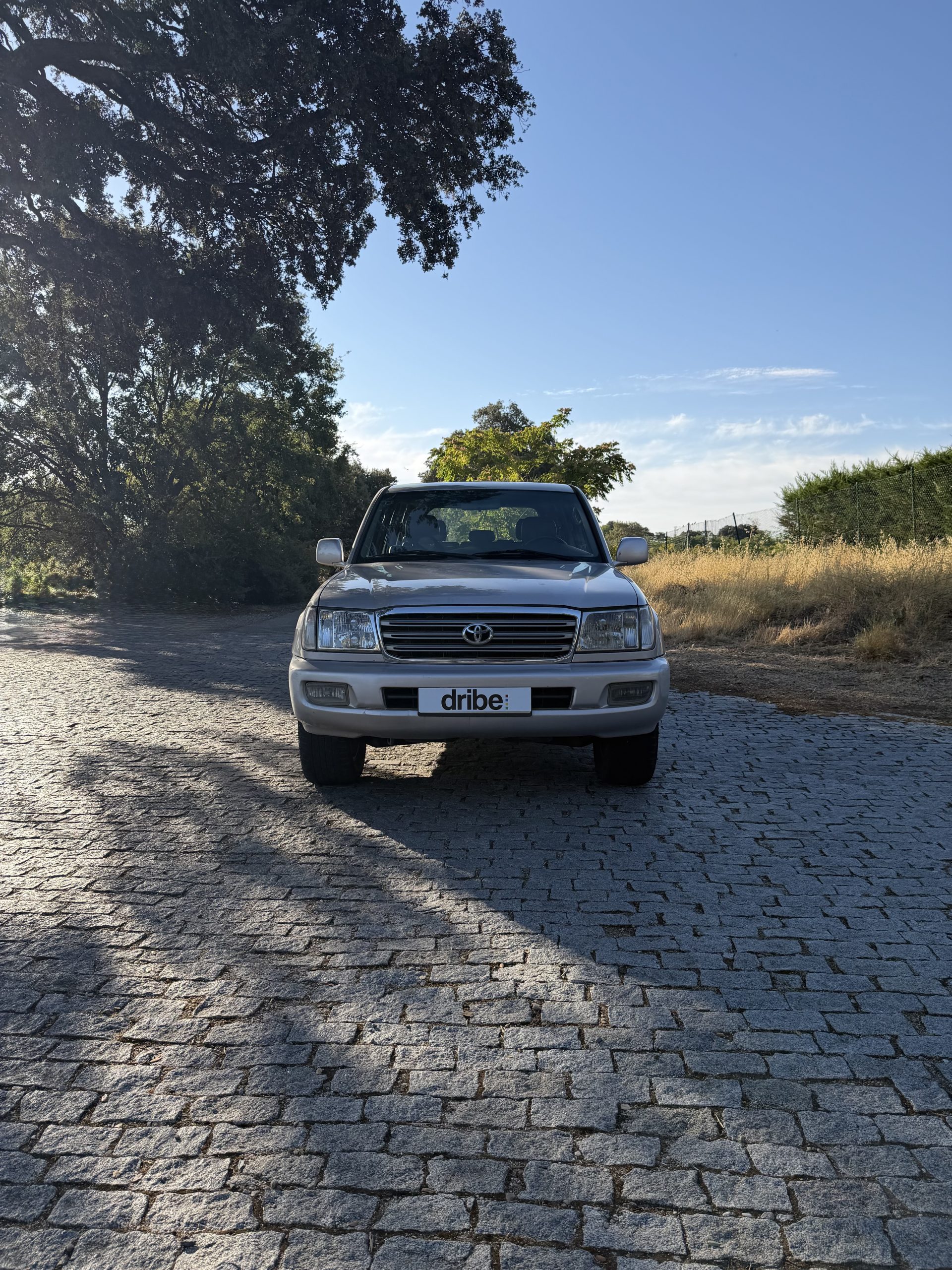 TOYOTA LAND CRUISER HDJ 100 VX 4.2 204CV AUT.