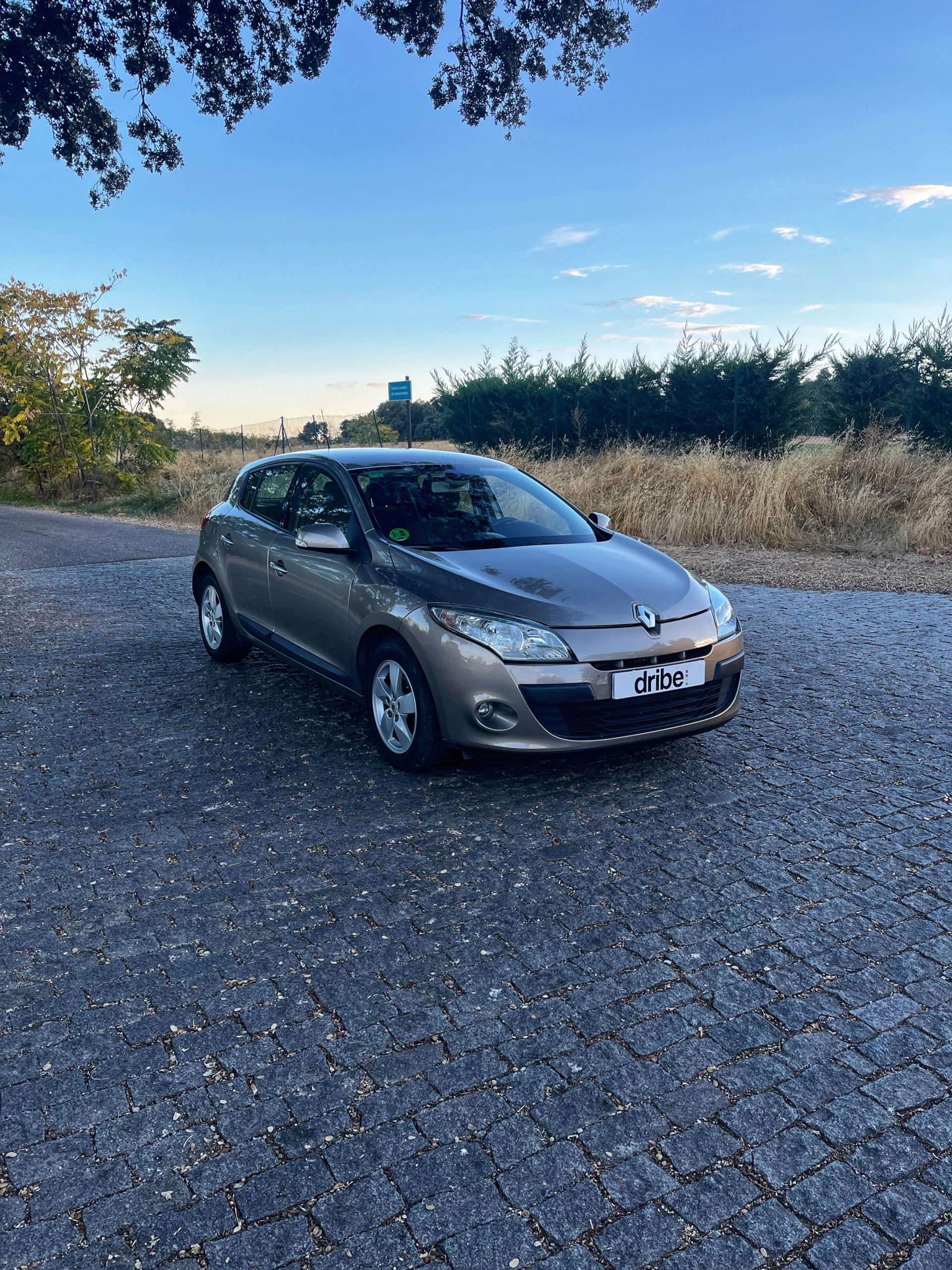 VENDIDO: RENAULT MEGANE DYNAMIQUE 1.6 110CV