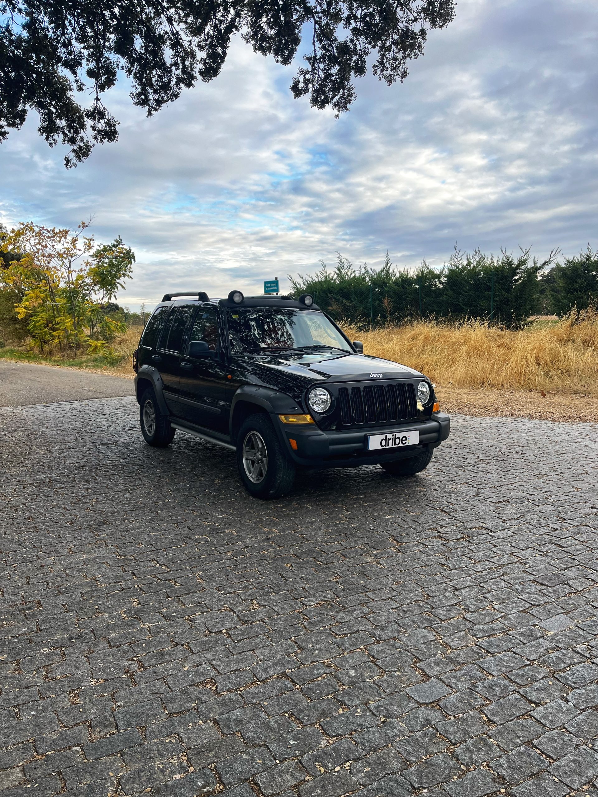 VENDIDO: JEEP CHEROKEE RENEGADE EXTREME 2.8 CRD 163CV