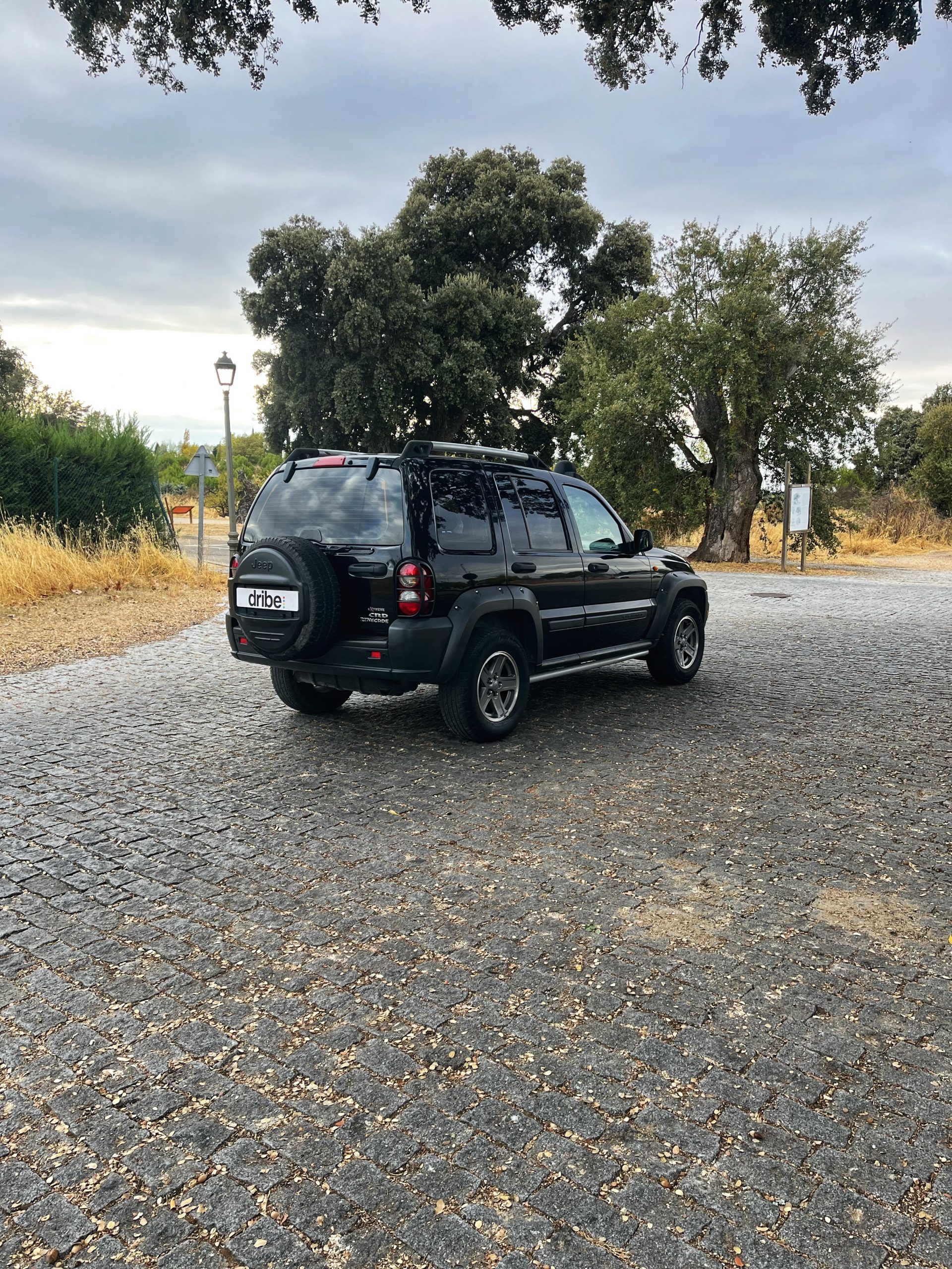 VENDIDO: JEEP CHEROKEE RENEGADE EXTREME 2.8 CRD 163CV