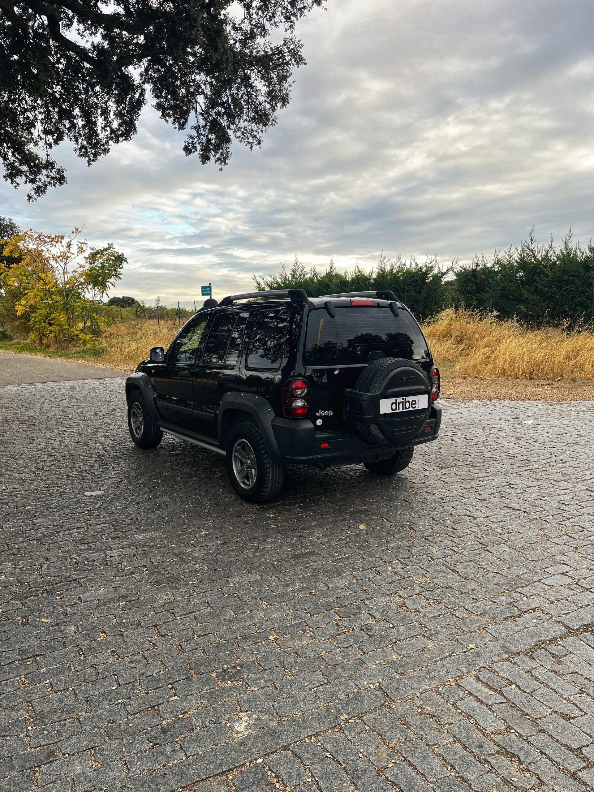 VENDIDO: JEEP CHEROKEE RENEGADE EXTREME 2.8 CRD 163CV