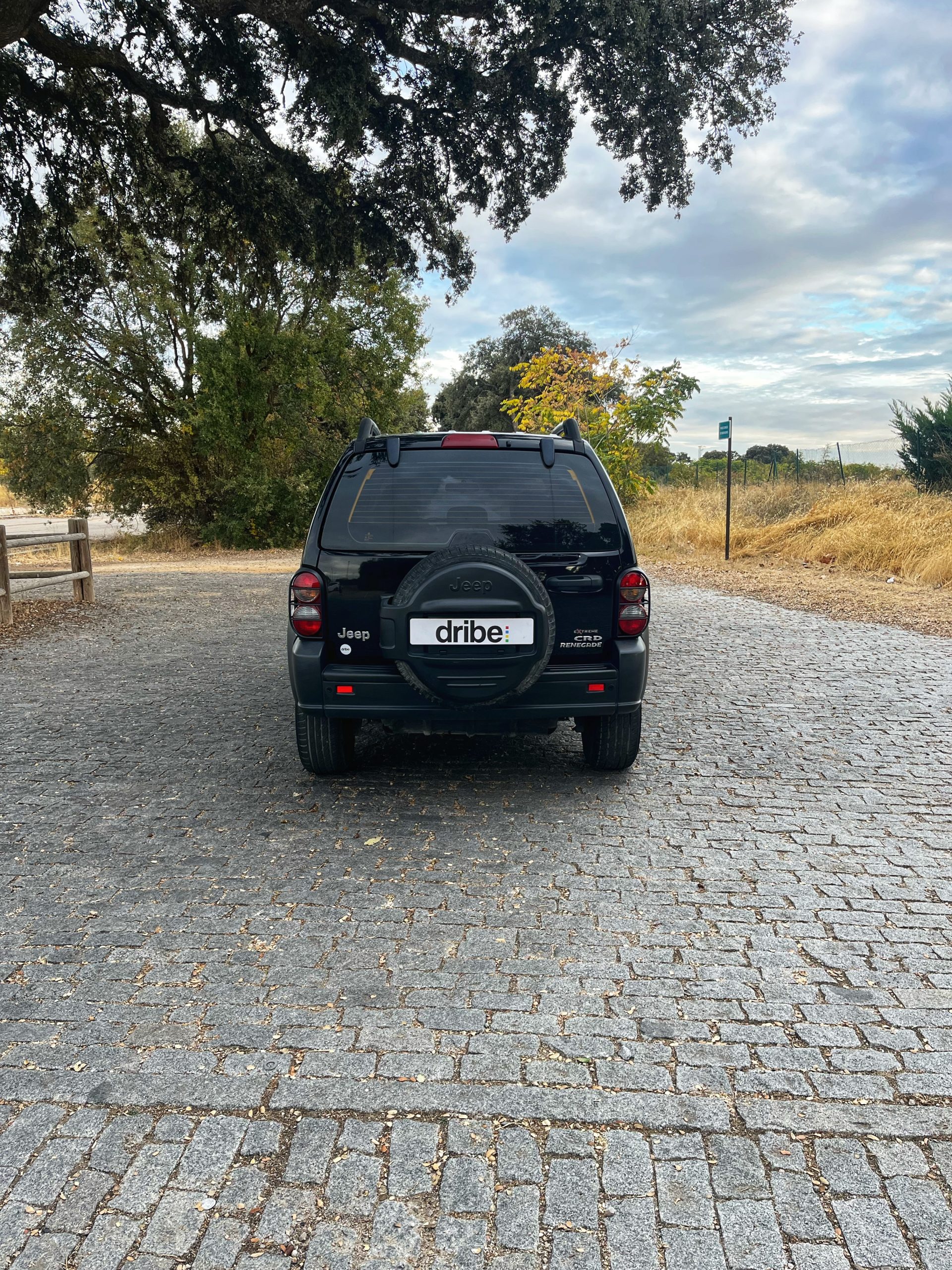VENDIDO: JEEP CHEROKEE RENEGADE EXTREME 2.8 CRD 163CV